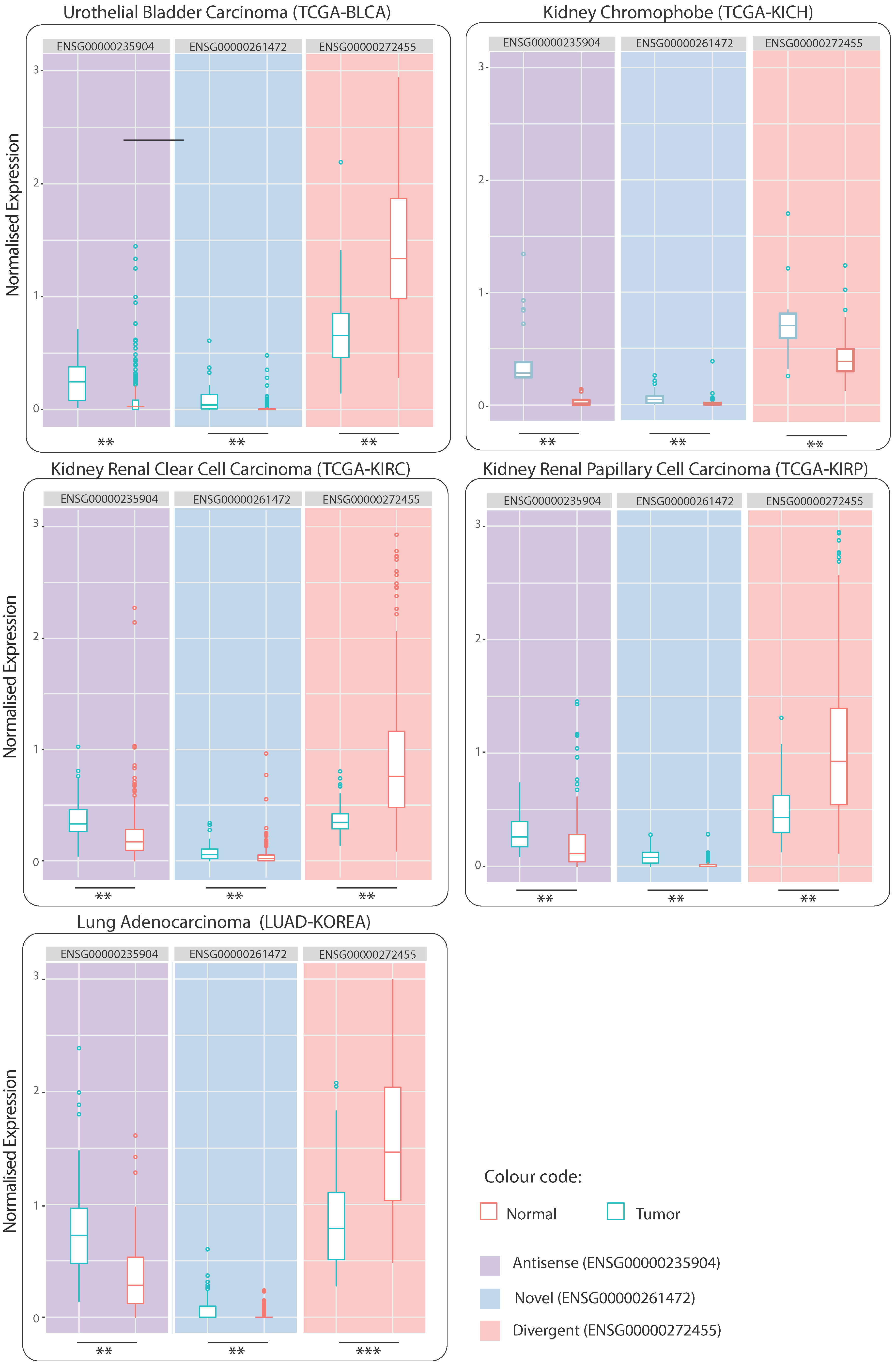 Ijms 24 04796 g006 Ijms 24 04796 g006