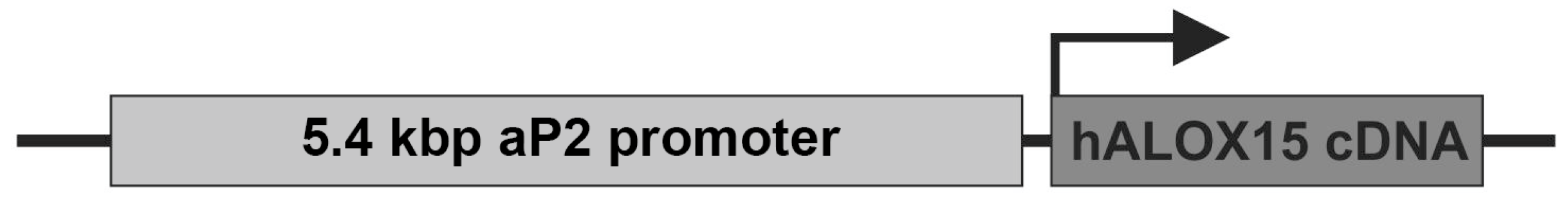 Ijms 24 04815 g001 Ijms 24 04815 g001