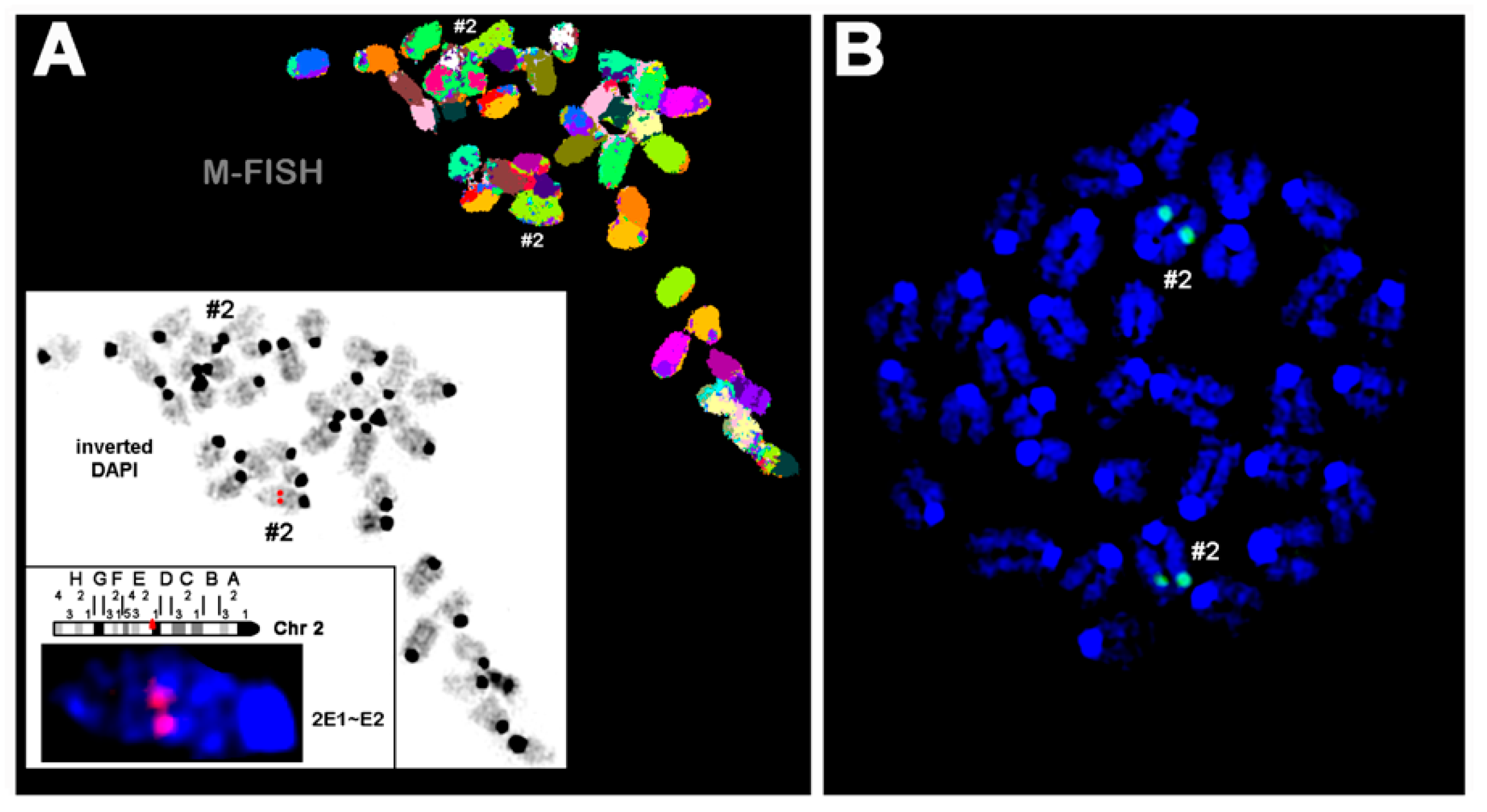 Ijms 24 04815 g002 Ijms 24 04815 g002