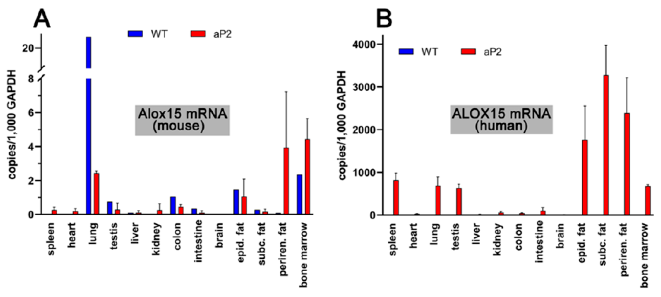 Ijms 24 04815 g003 Ijms 24 04815 g003