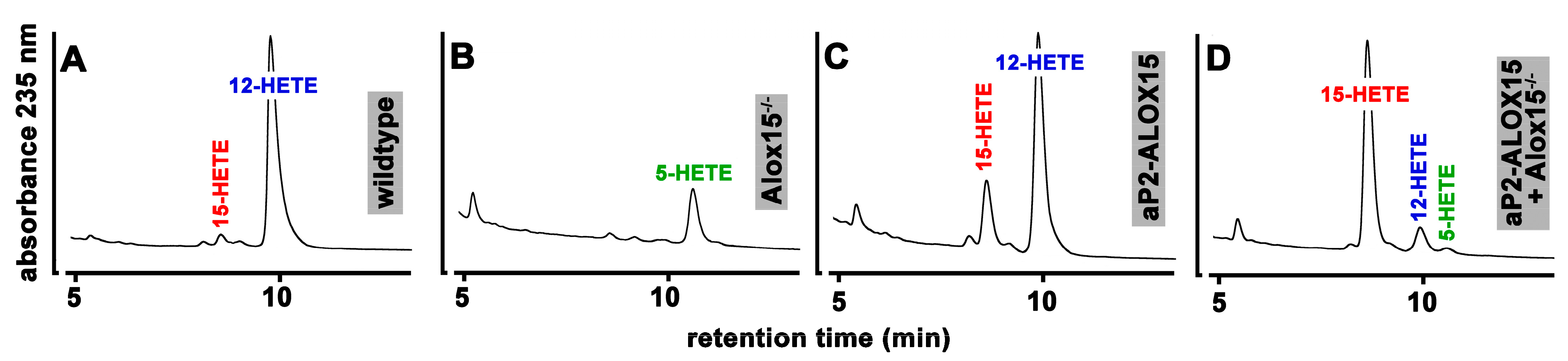 Ijms 24 04815 g004 Ijms 24 04815 g004