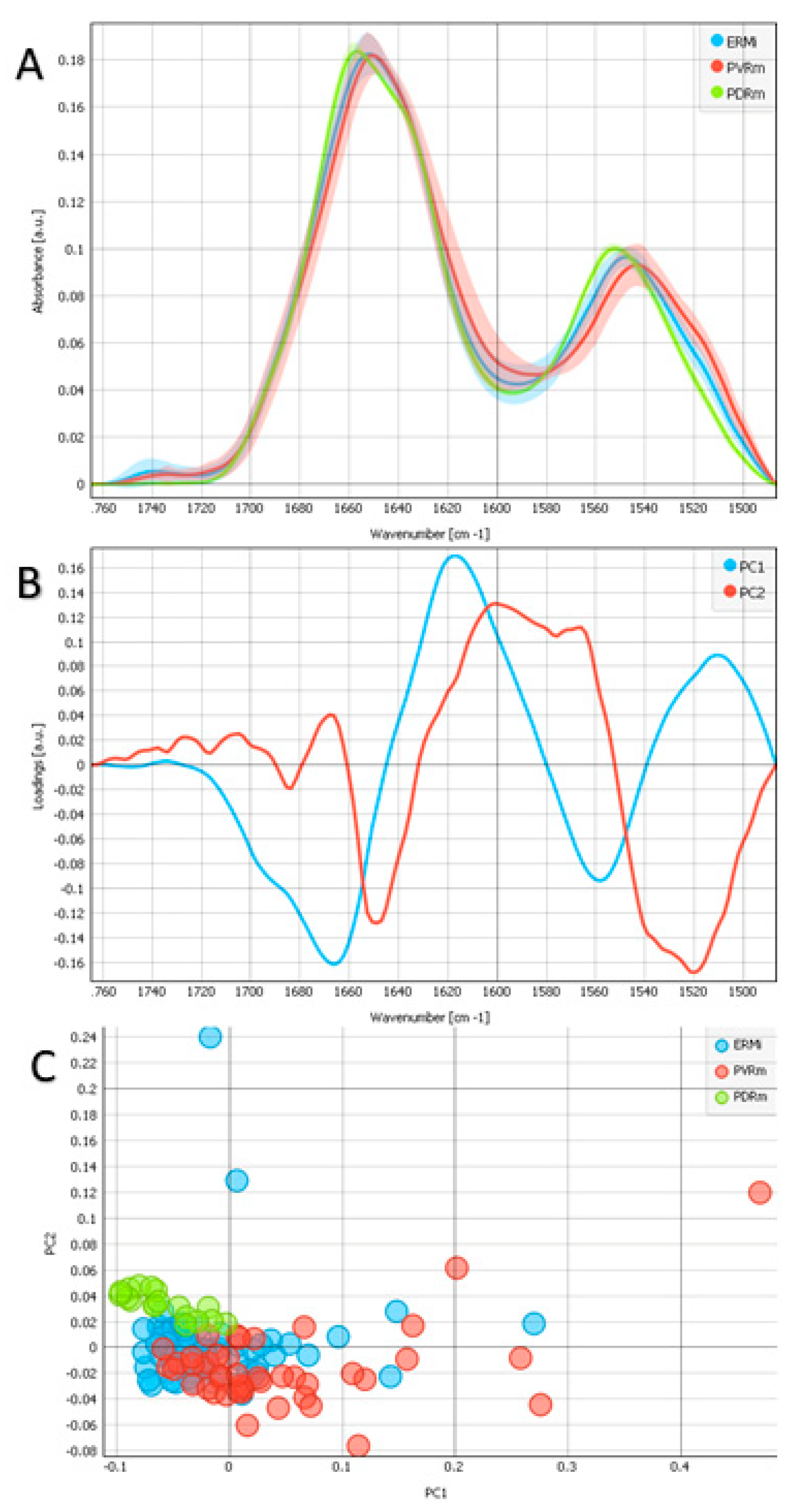 Ijms 24 04834 g002 Ijms 24 04834 g002