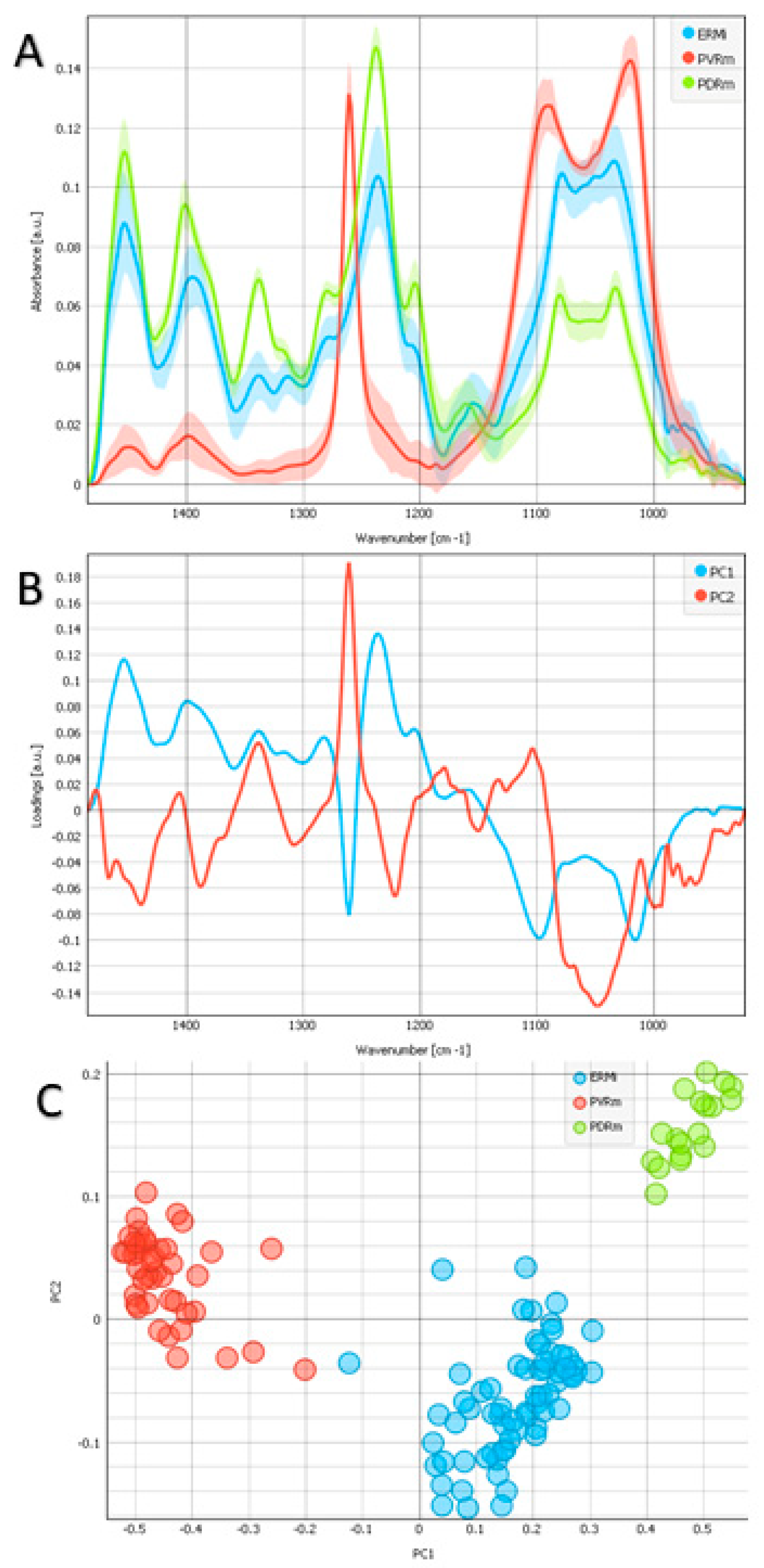 Ijms 24 04834 g004 Ijms 24 04834 g004
