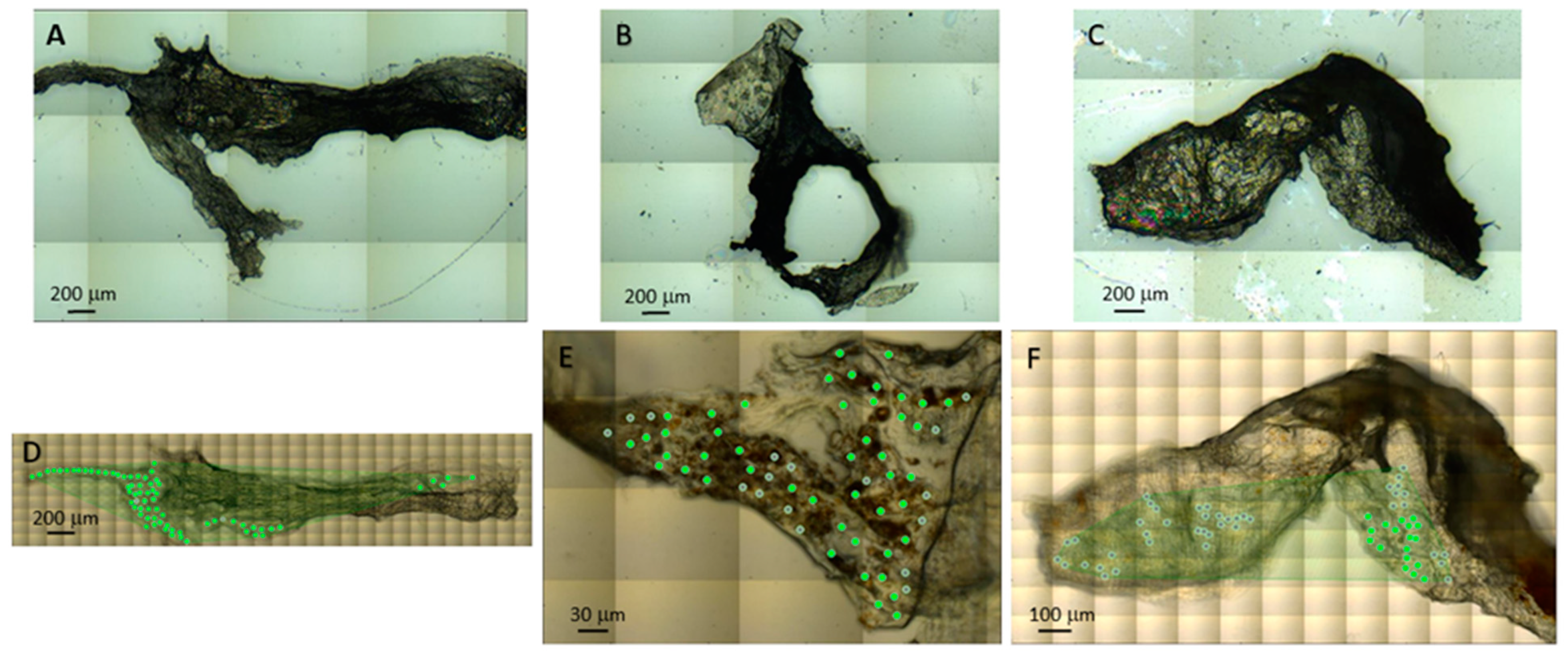 Ijms 24 04834 g006 Ijms 24 04834 g006