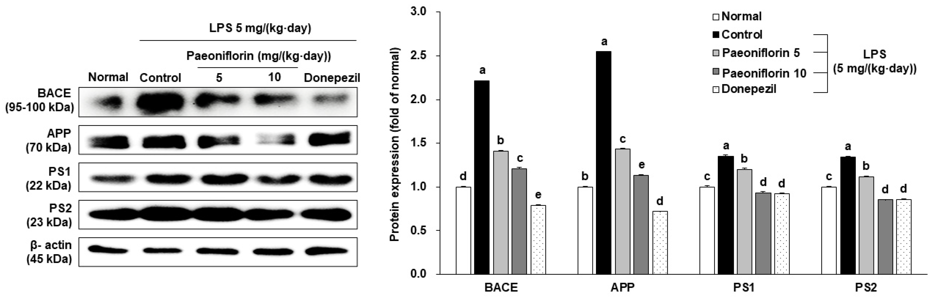 Ijms 24 04838 g005 Ijms 24 04838 g005
