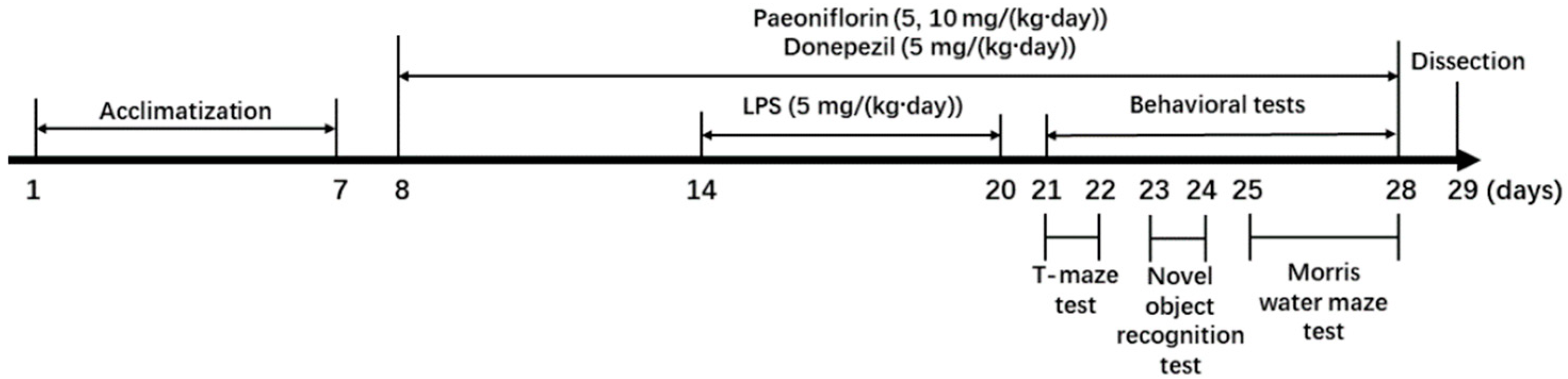 Ijms 24 04838 g007 Ijms 24 04838 g007