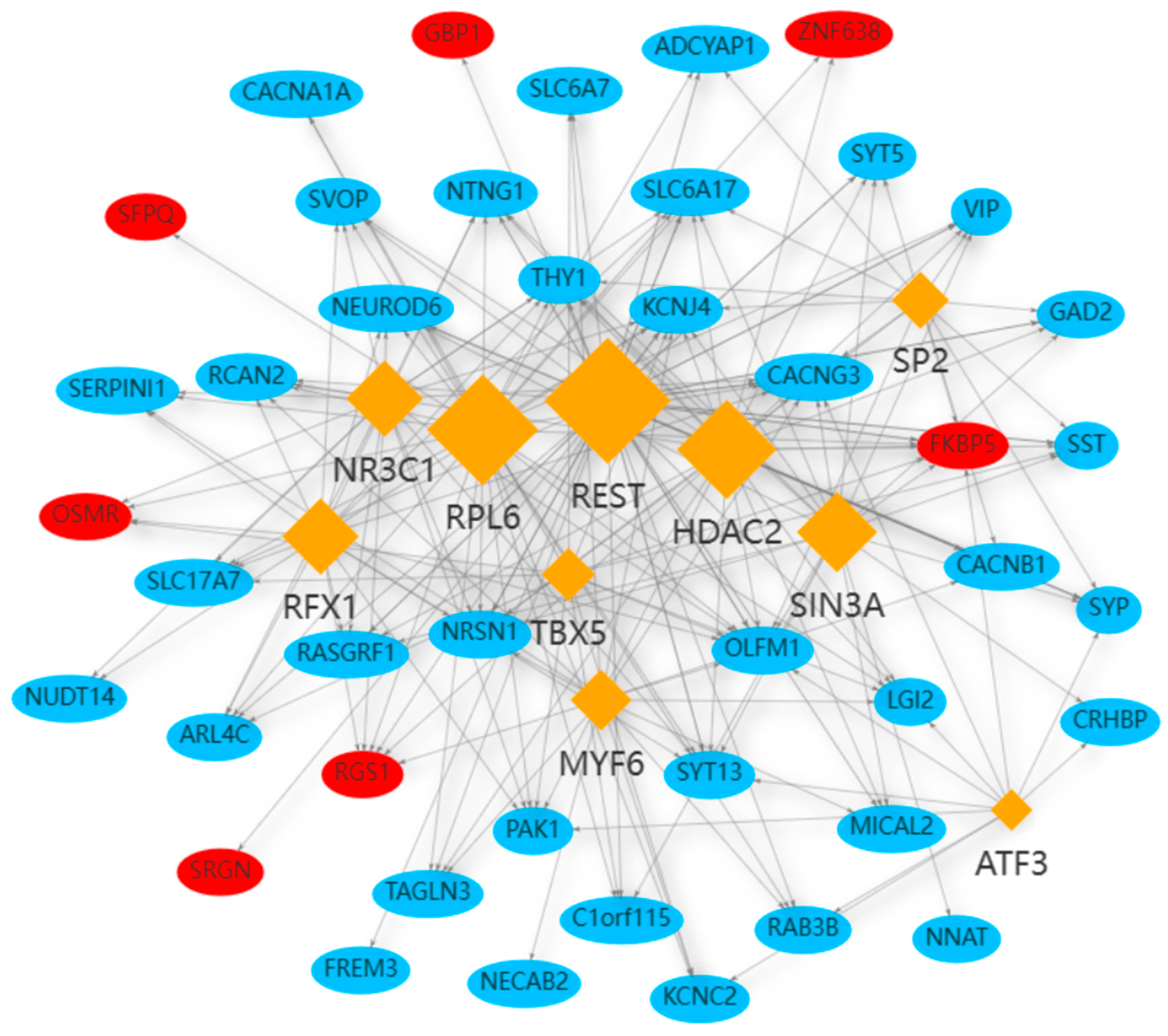 Ijms 24 04839 g008 Ijms 24 04839 g008