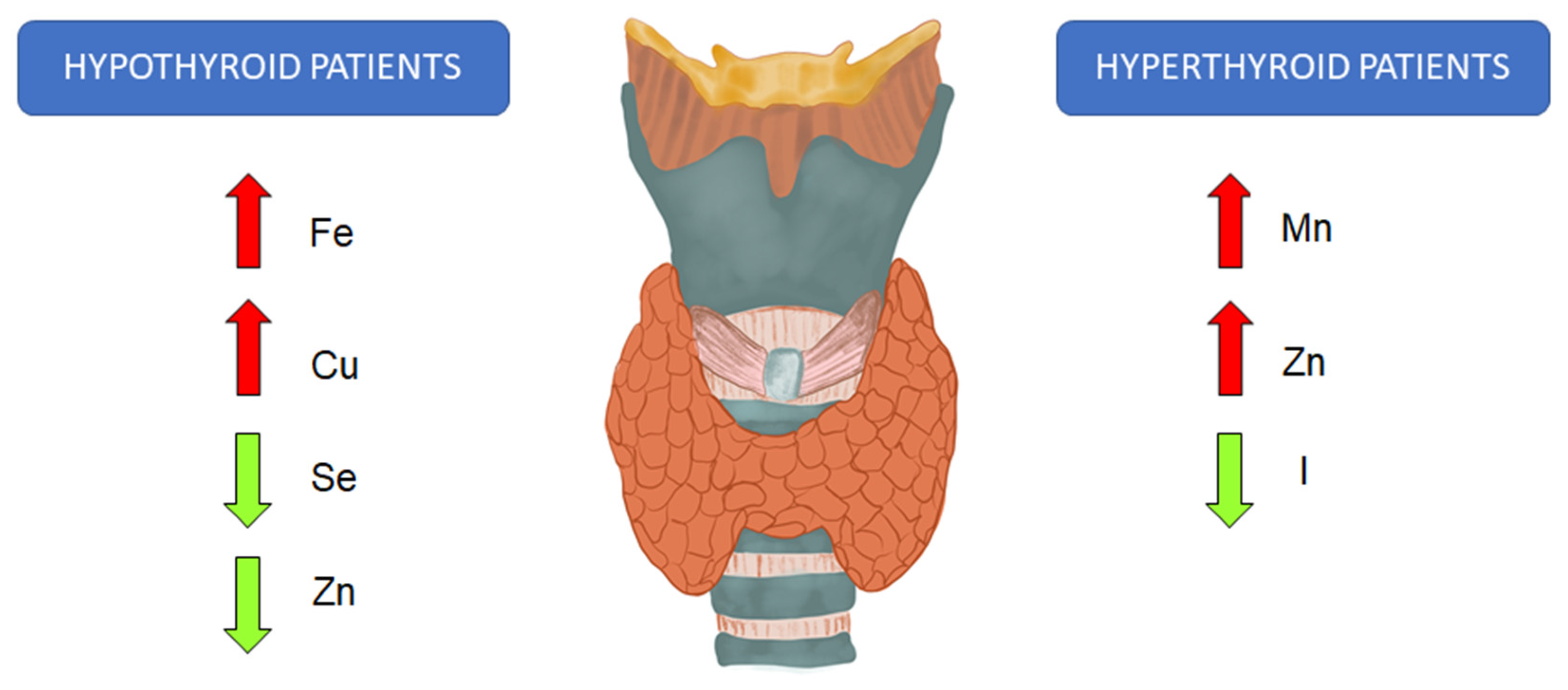 Ijms 24 04840 g001 Ijms 24 04840 g001