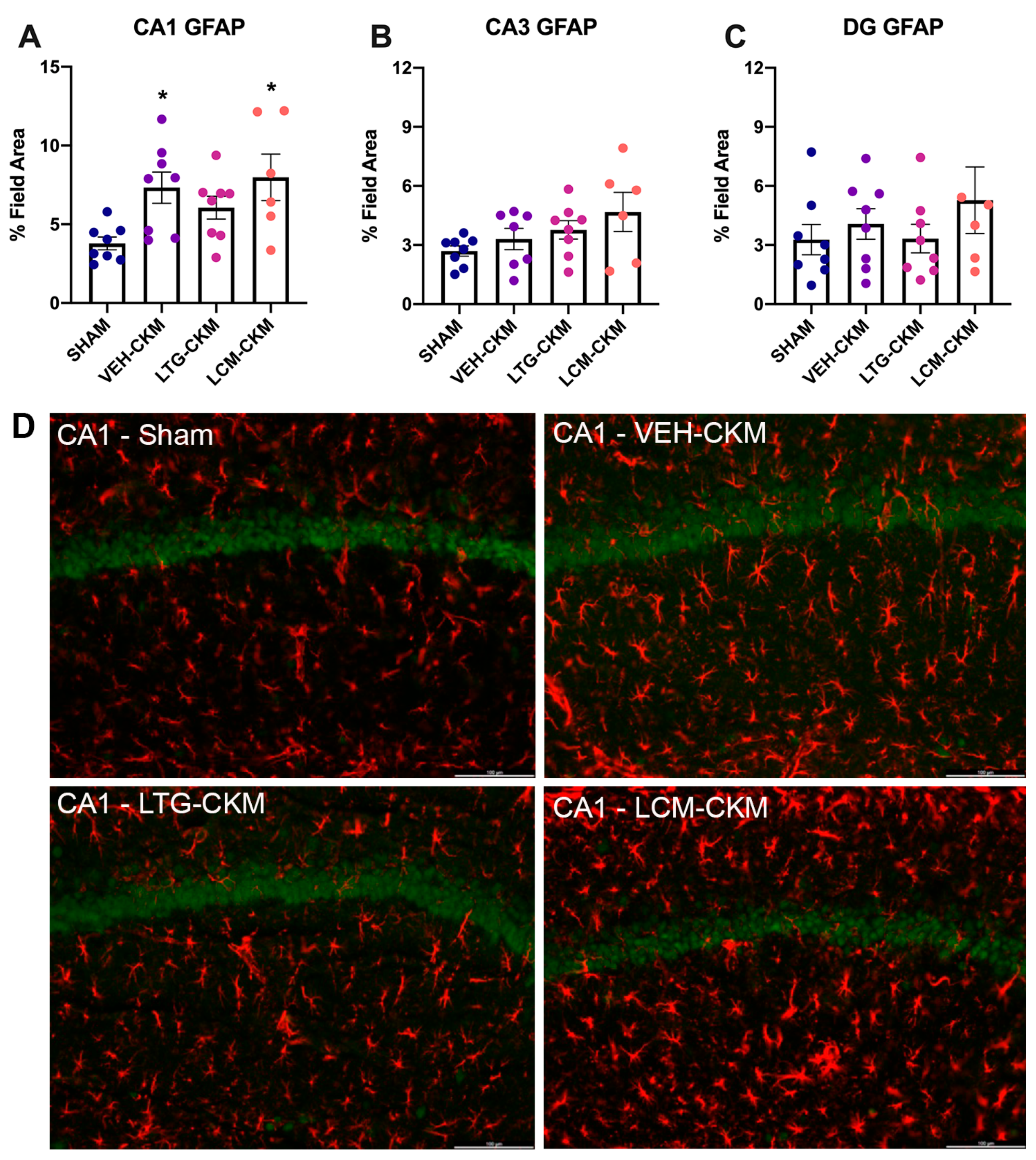 Ijms 24 04848 g004 Ijms 24 04848 g004