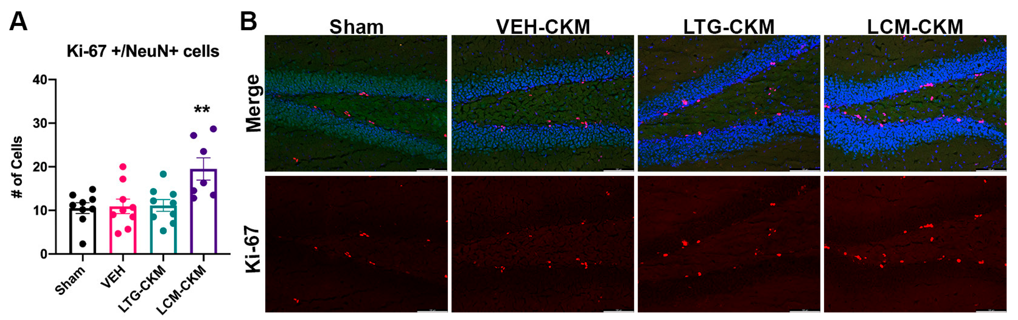 Ijms 24 04848 g006 Ijms 24 04848 g006