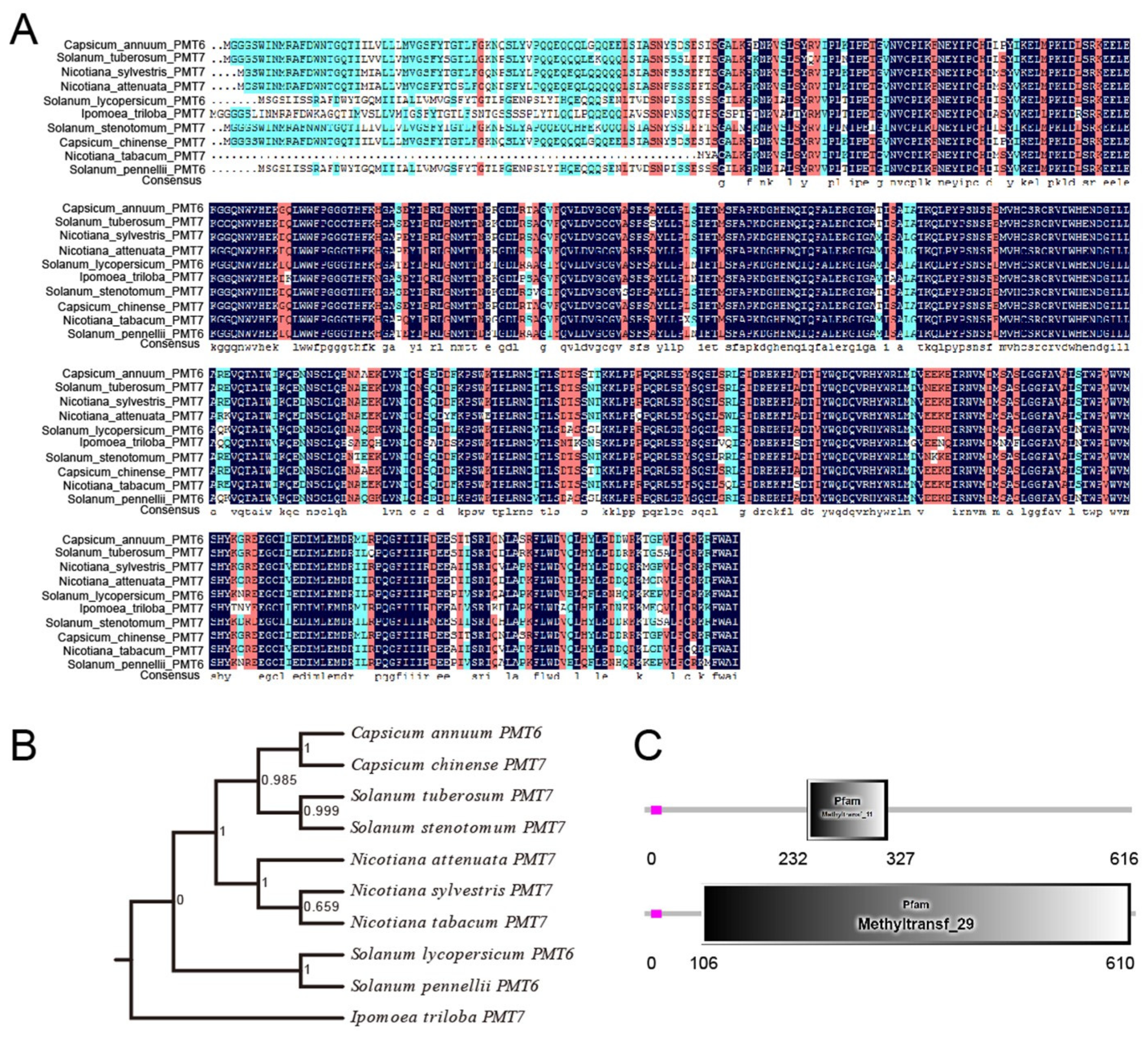 Ijms 24 04849 g001 Ijms 24 04849 g001