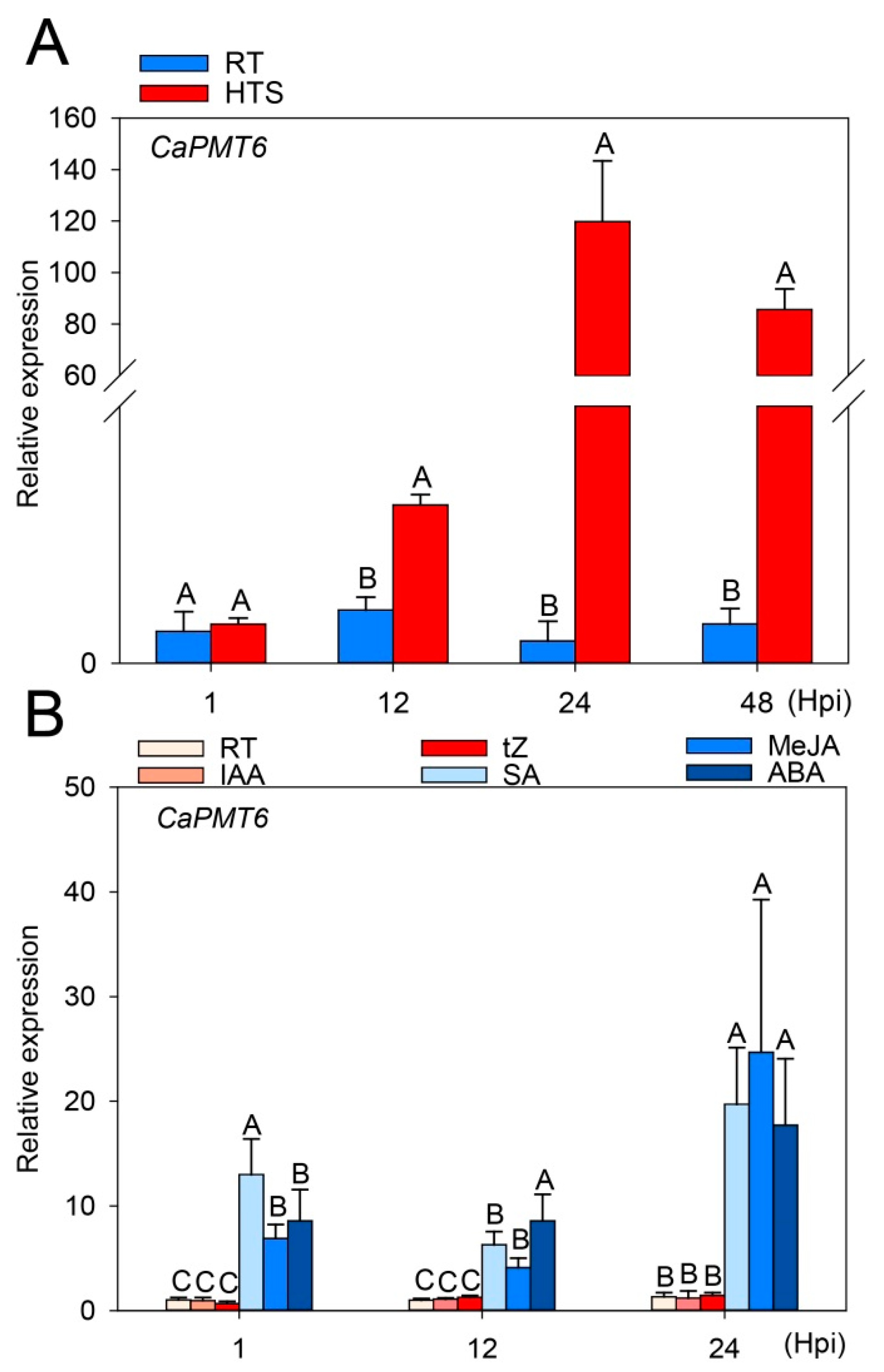 Ijms 24 04849 g003 Ijms 24 04849 g003