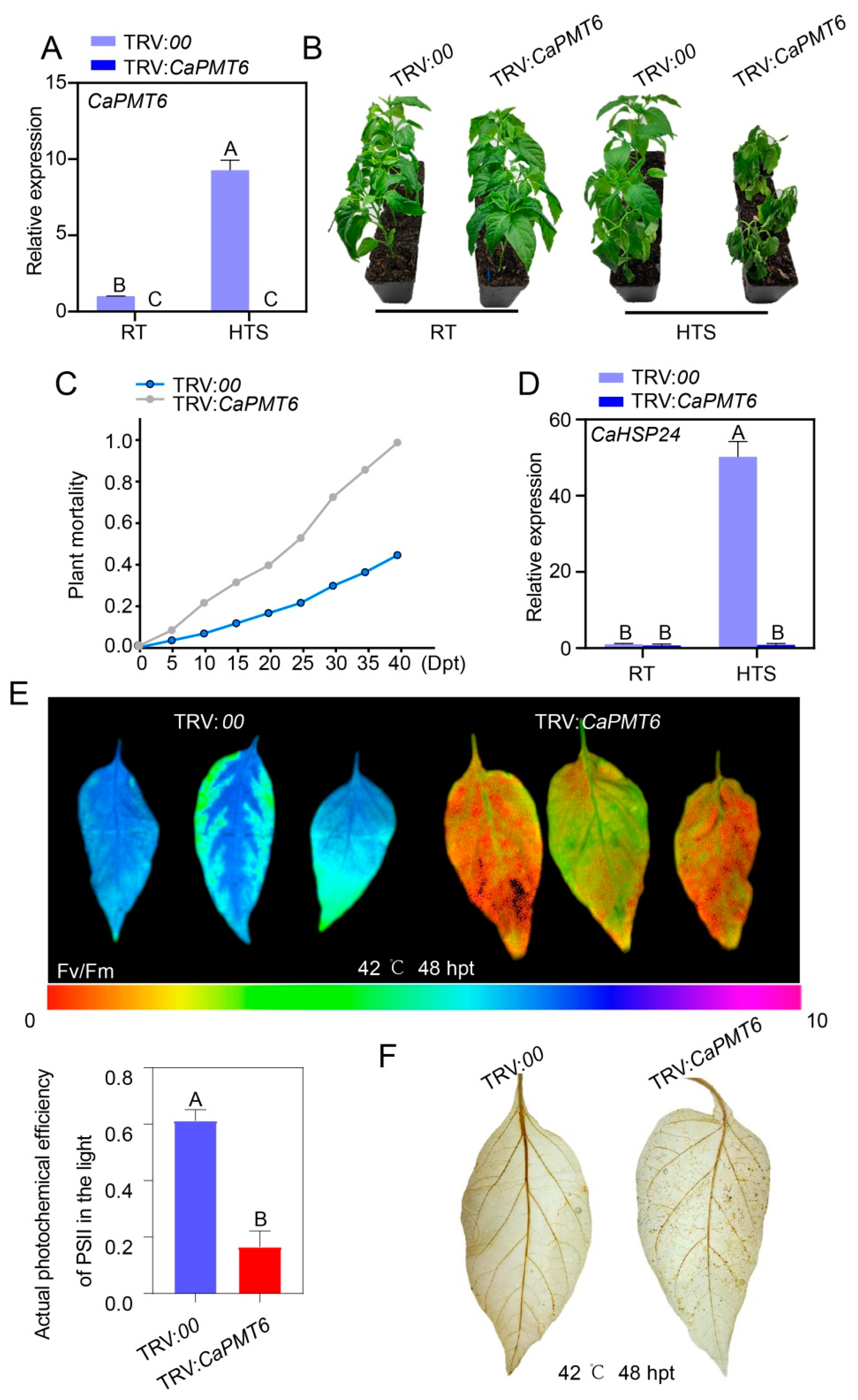 Ijms 24 04849 g005 Ijms 24 04849 g005