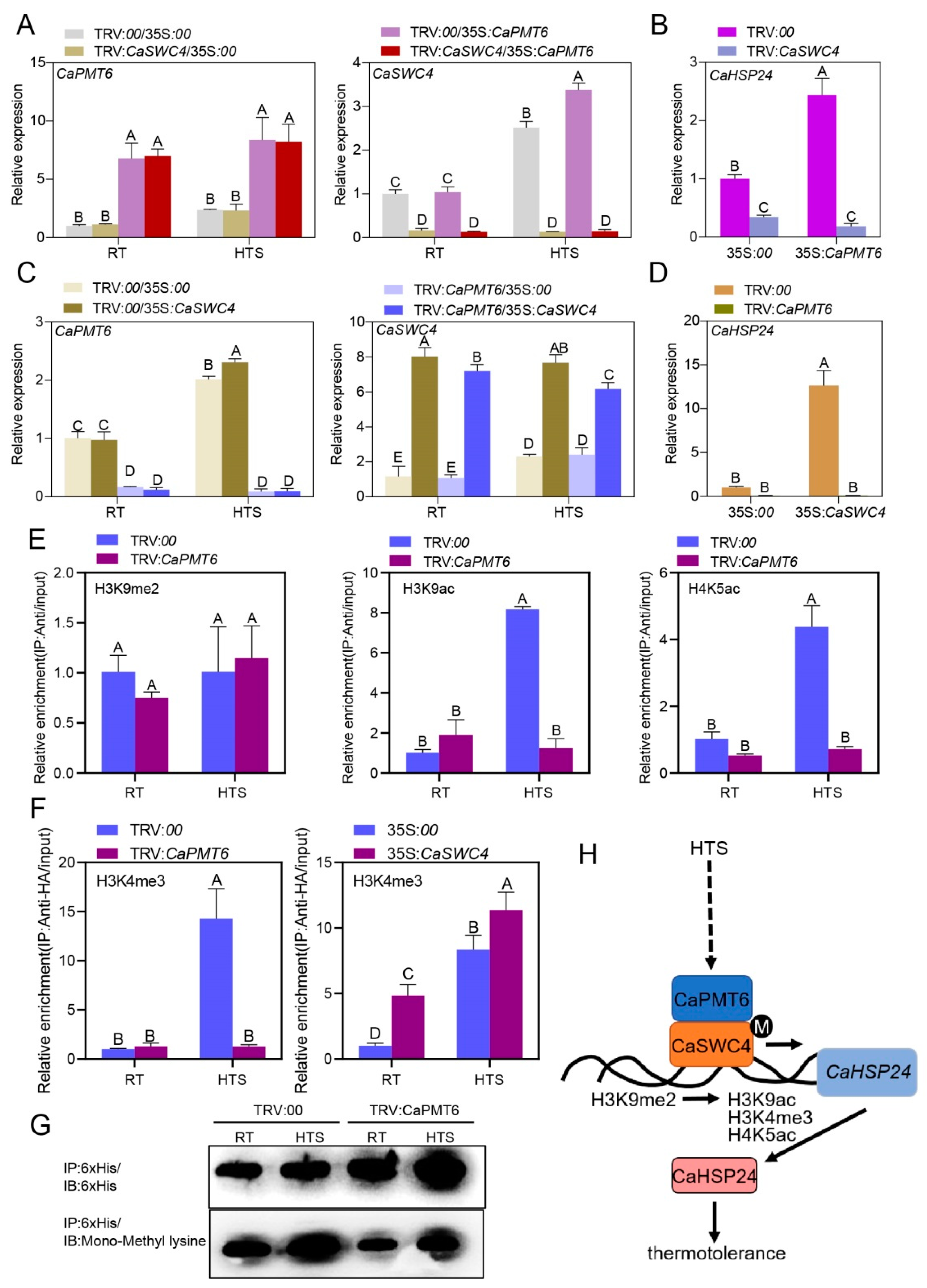 Ijms 24 04849 g007 Ijms 24 04849 g007