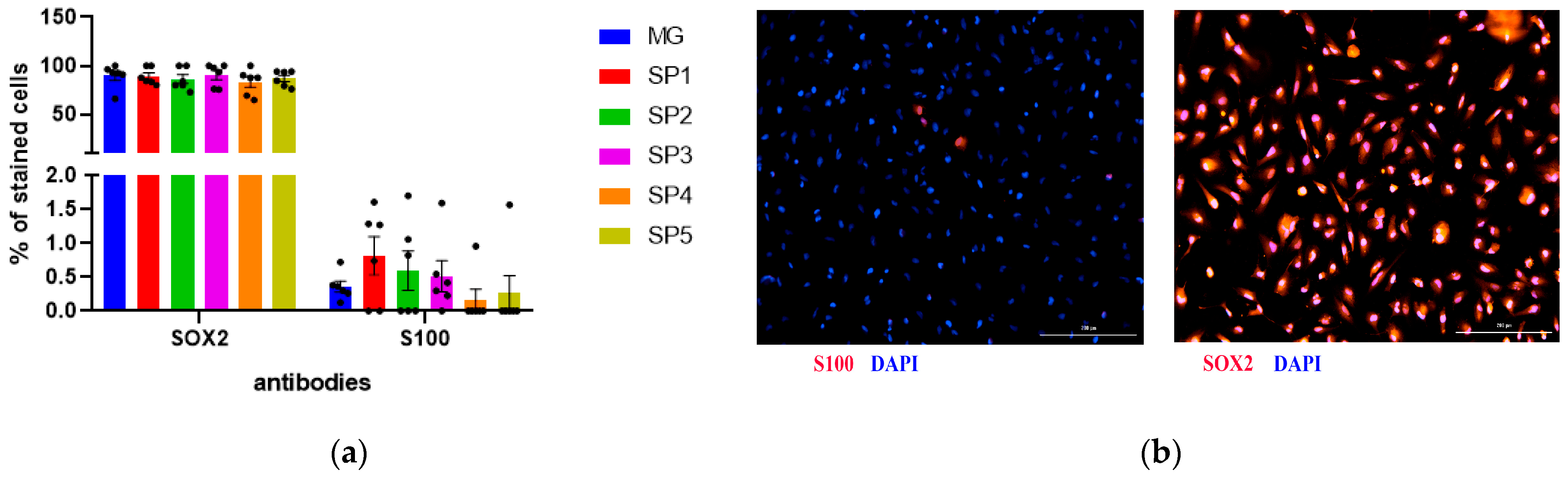 Ijms 24 04871 g004