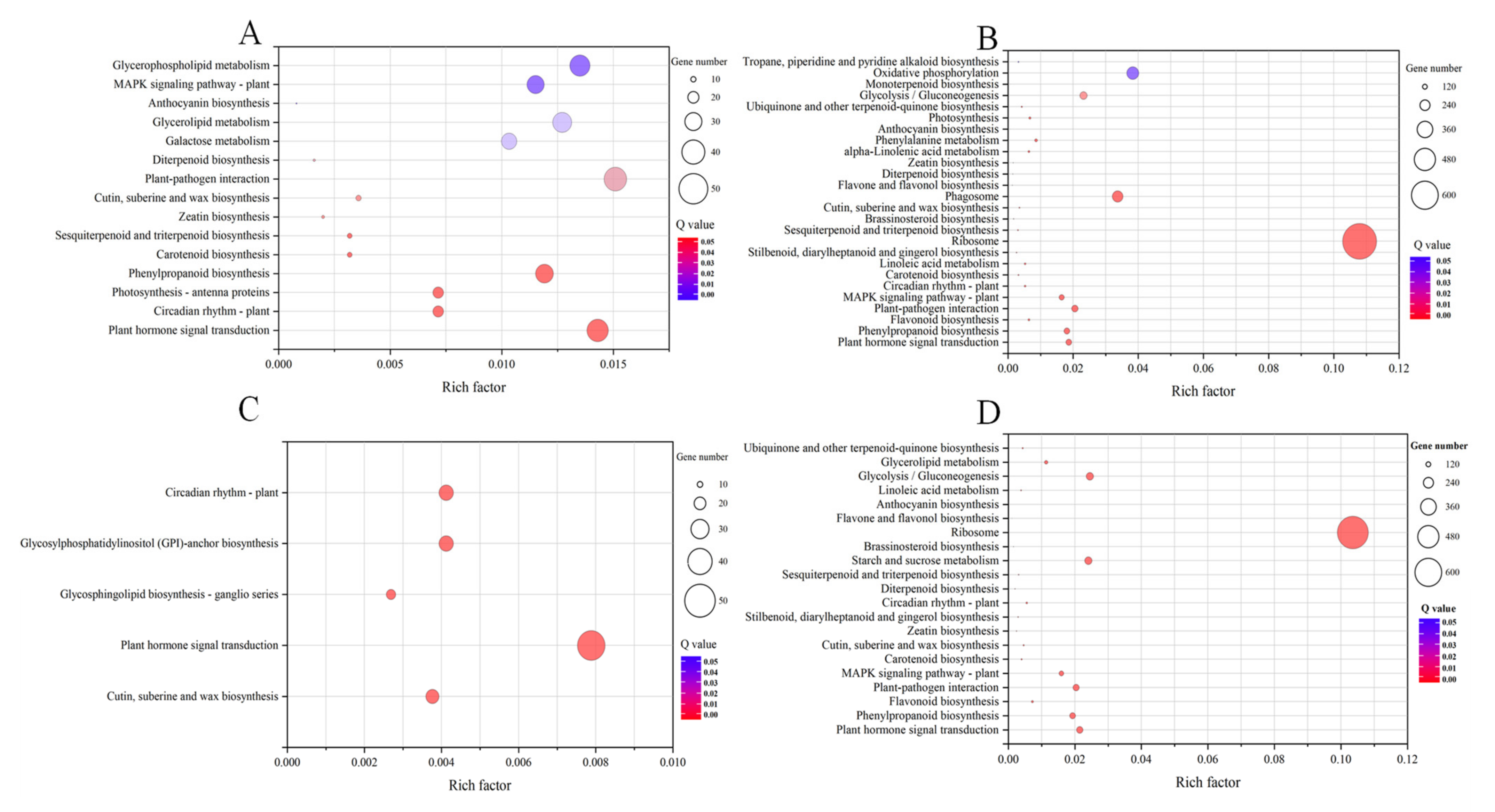 Ijms 24 04874 g005 Ijms 24 04874 g005