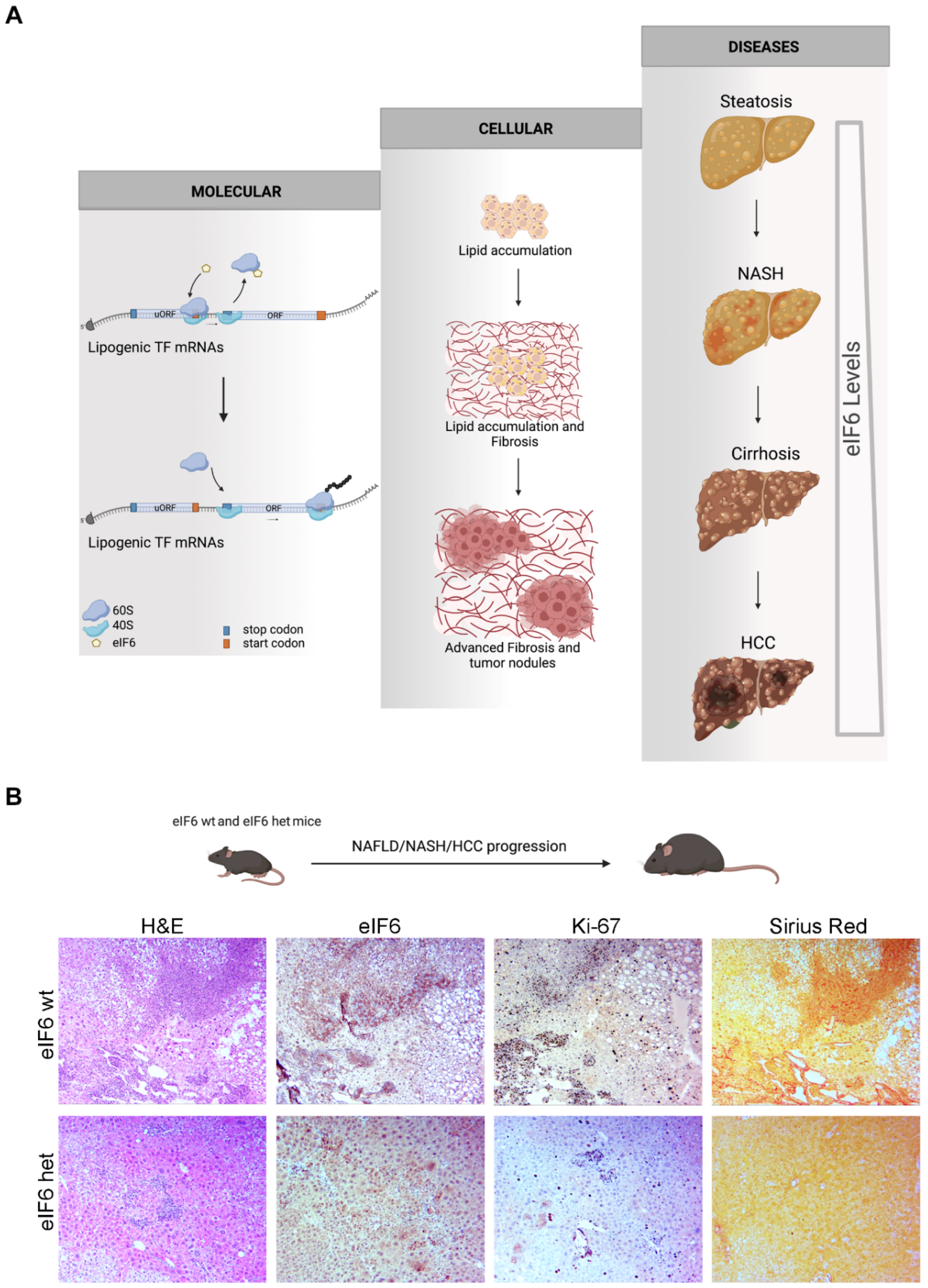 Ijms 24 04885 g002 Ijms 24 04885 g002