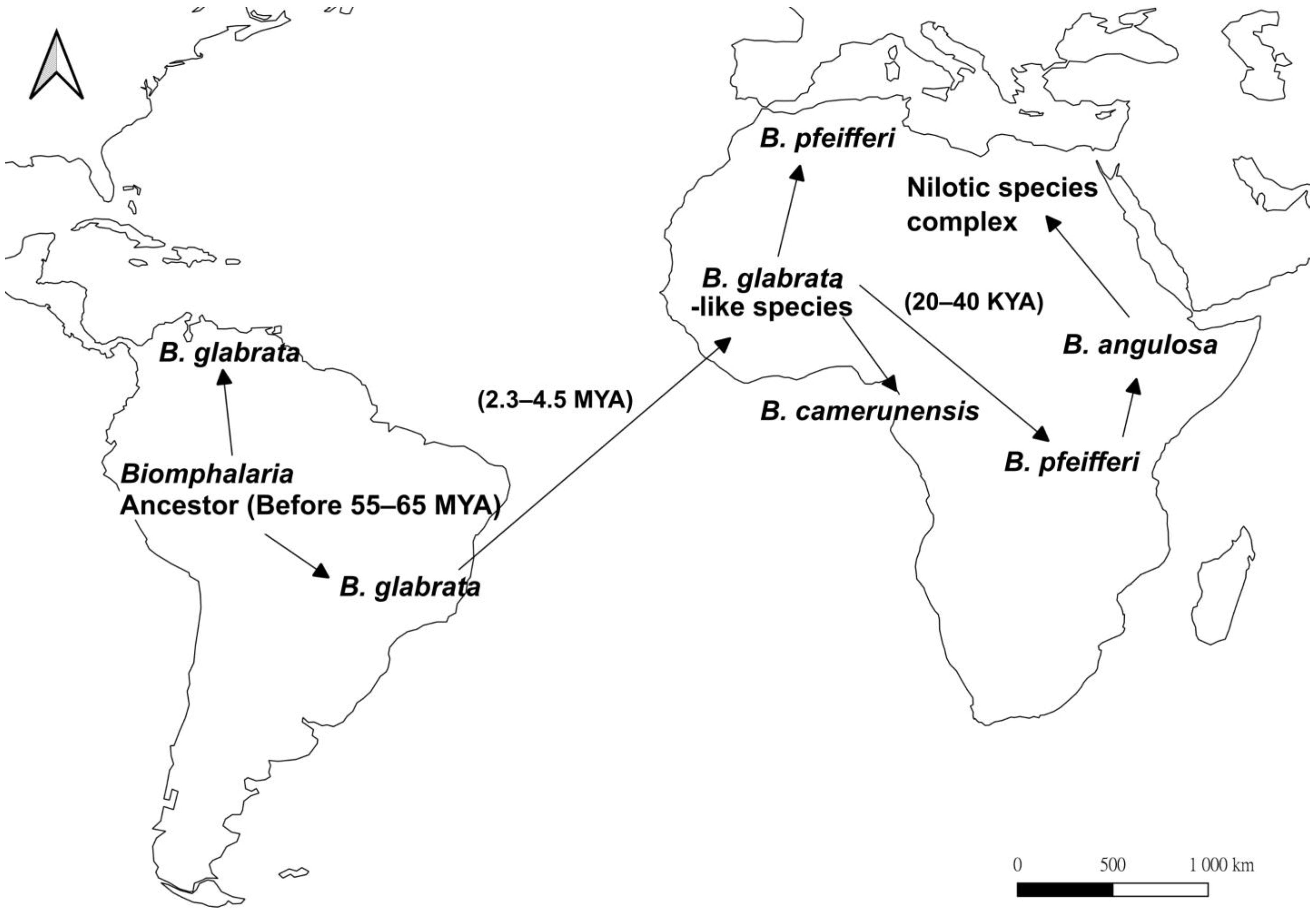 Ijms 24 04895 g002 Ijms 24 04895 g002