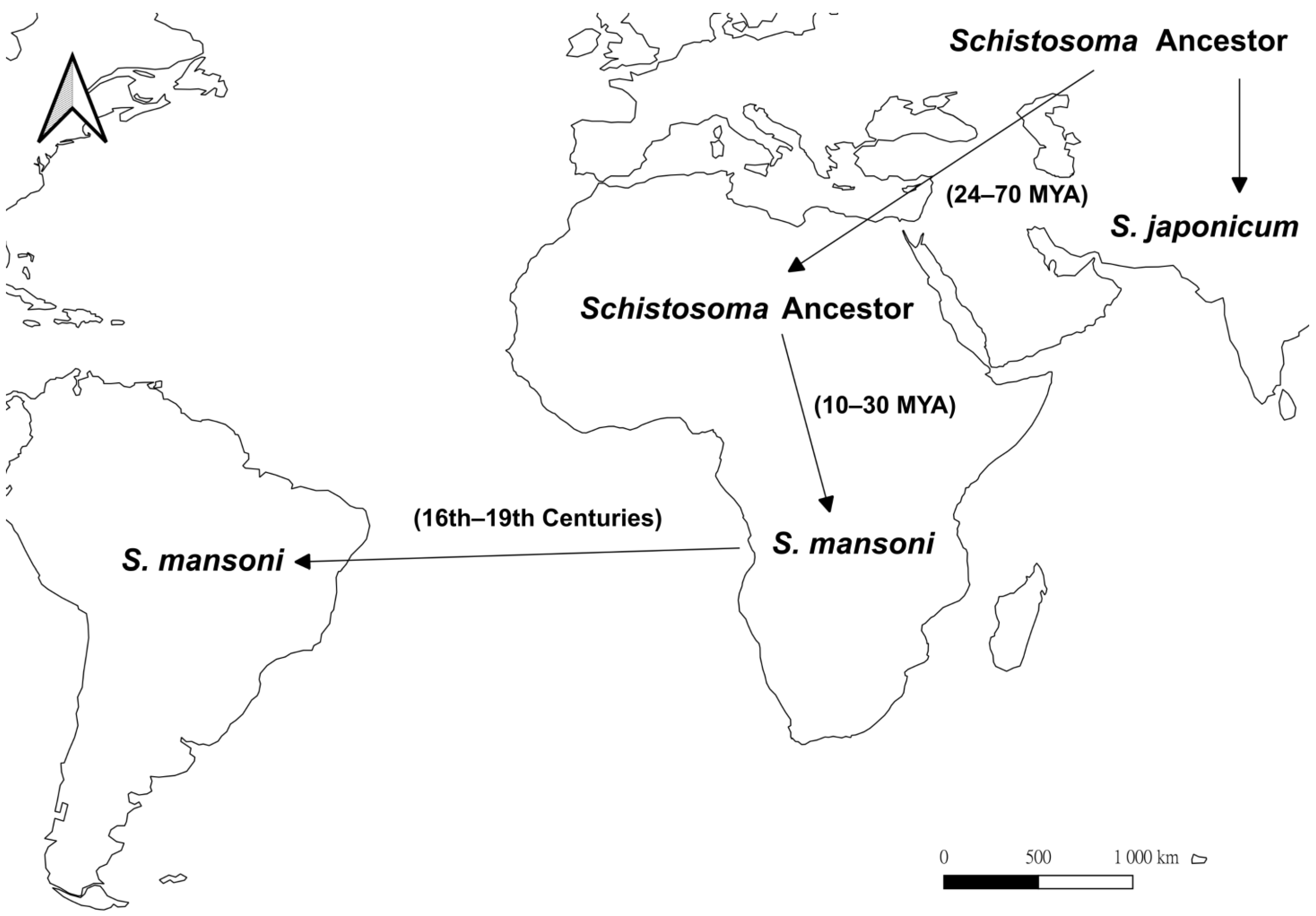 Ijms 24 04895 g003 Ijms 24 04895 g003