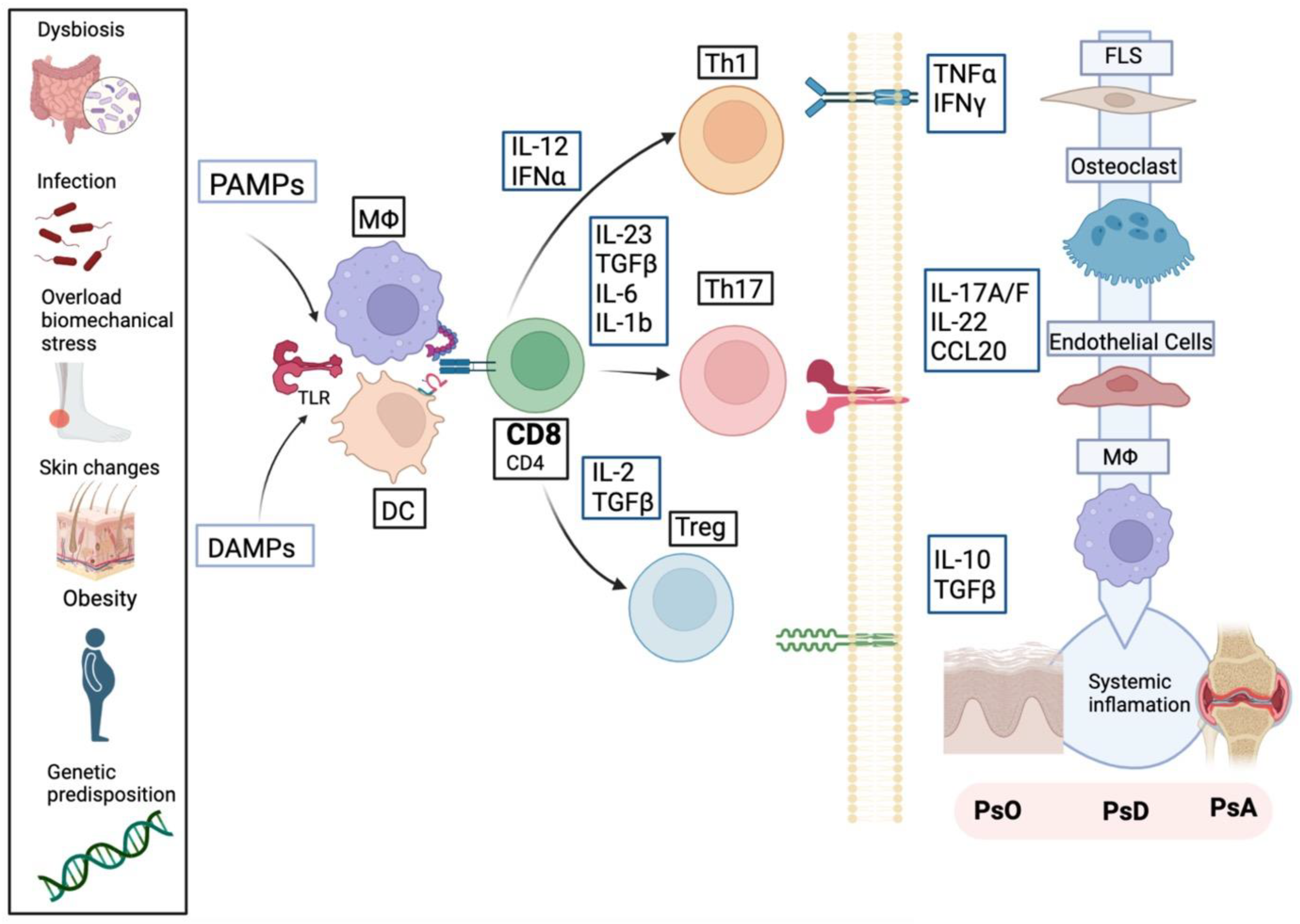Ijms 24 04901 g001 Ijms 24 04901 g001