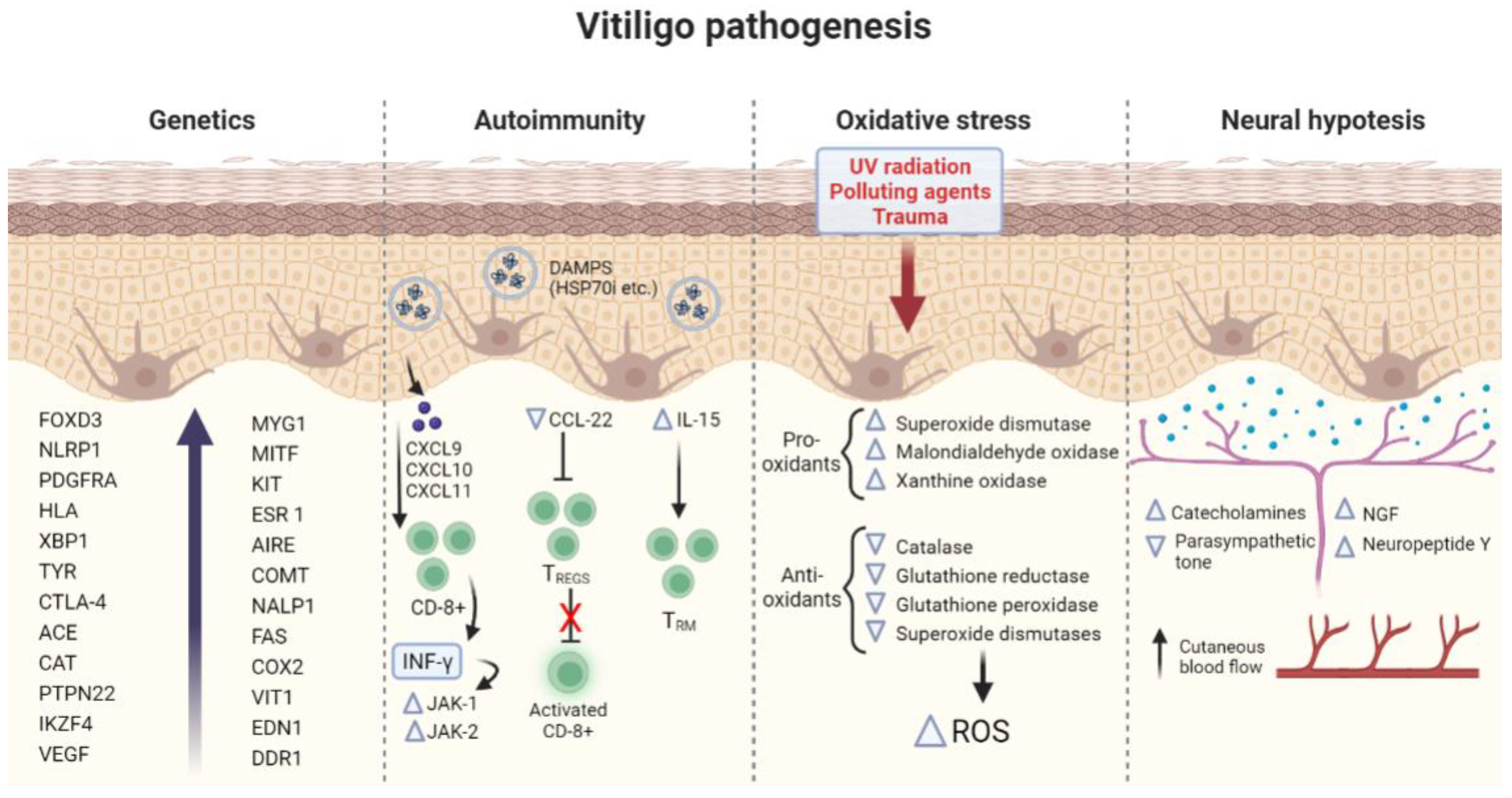 Ijms 24 04910 g001 Ijms 24 04910 g001