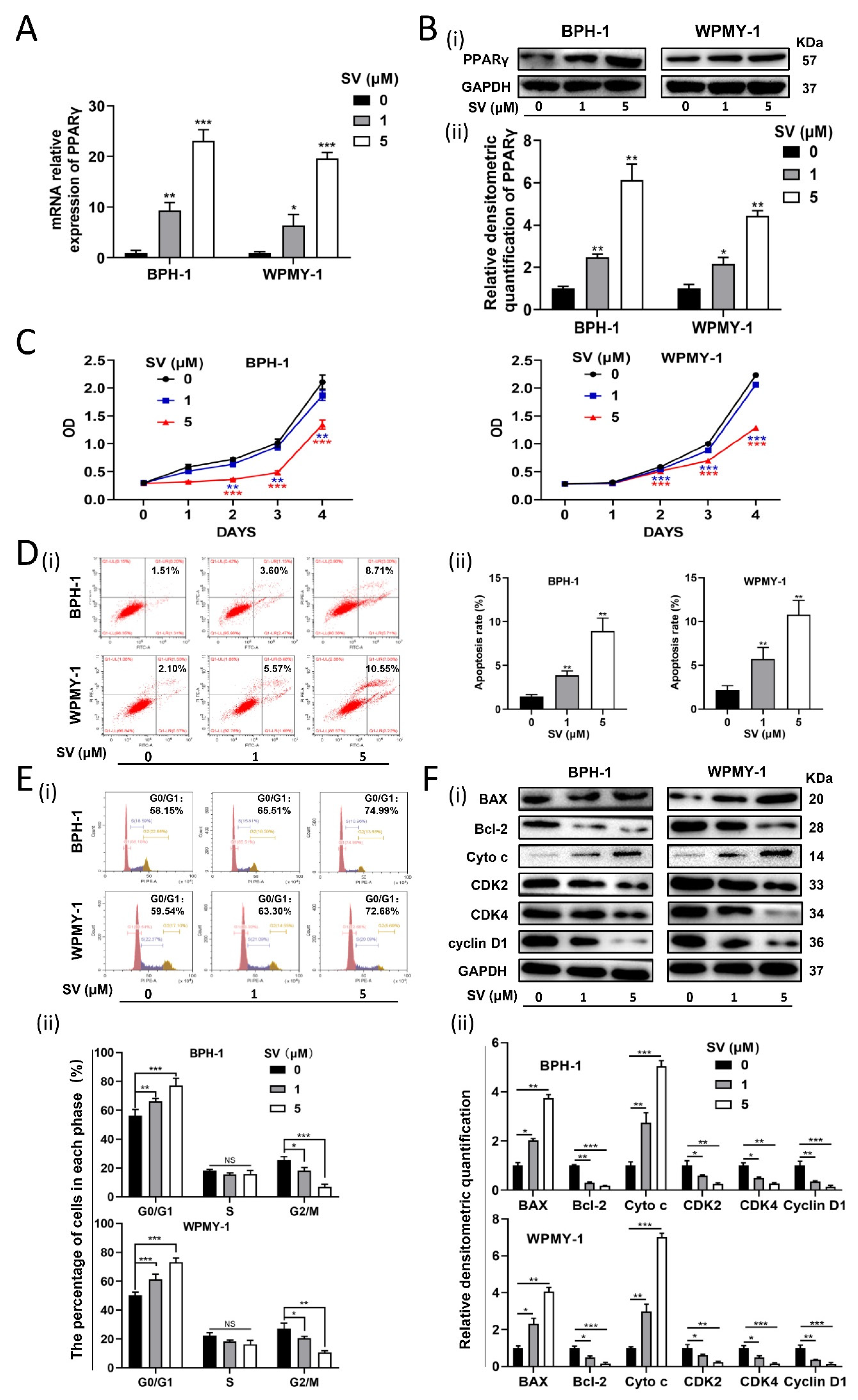 Ijms 24 04911 g002 Ijms 24 04911 g002
