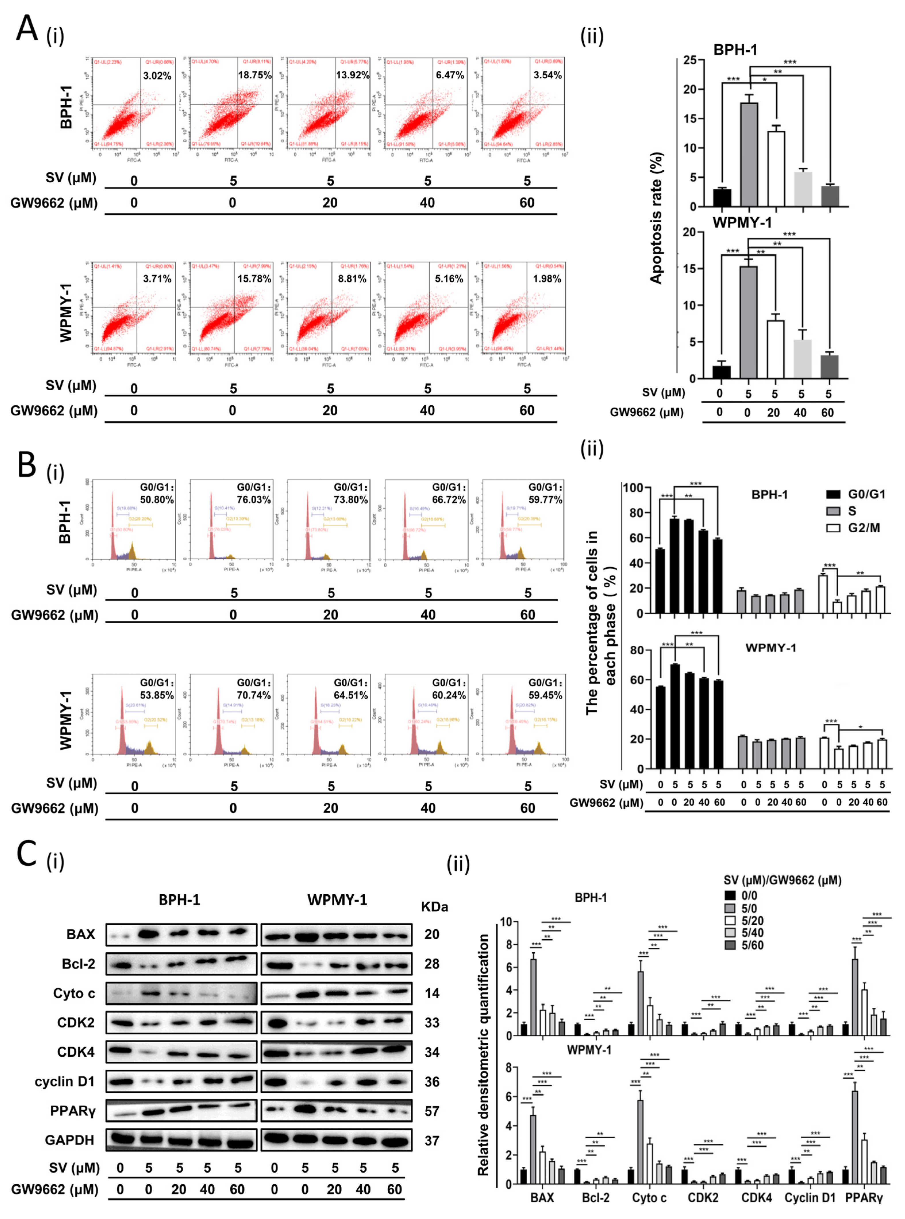 Ijms 24 04911 g003 Ijms 24 04911 g003