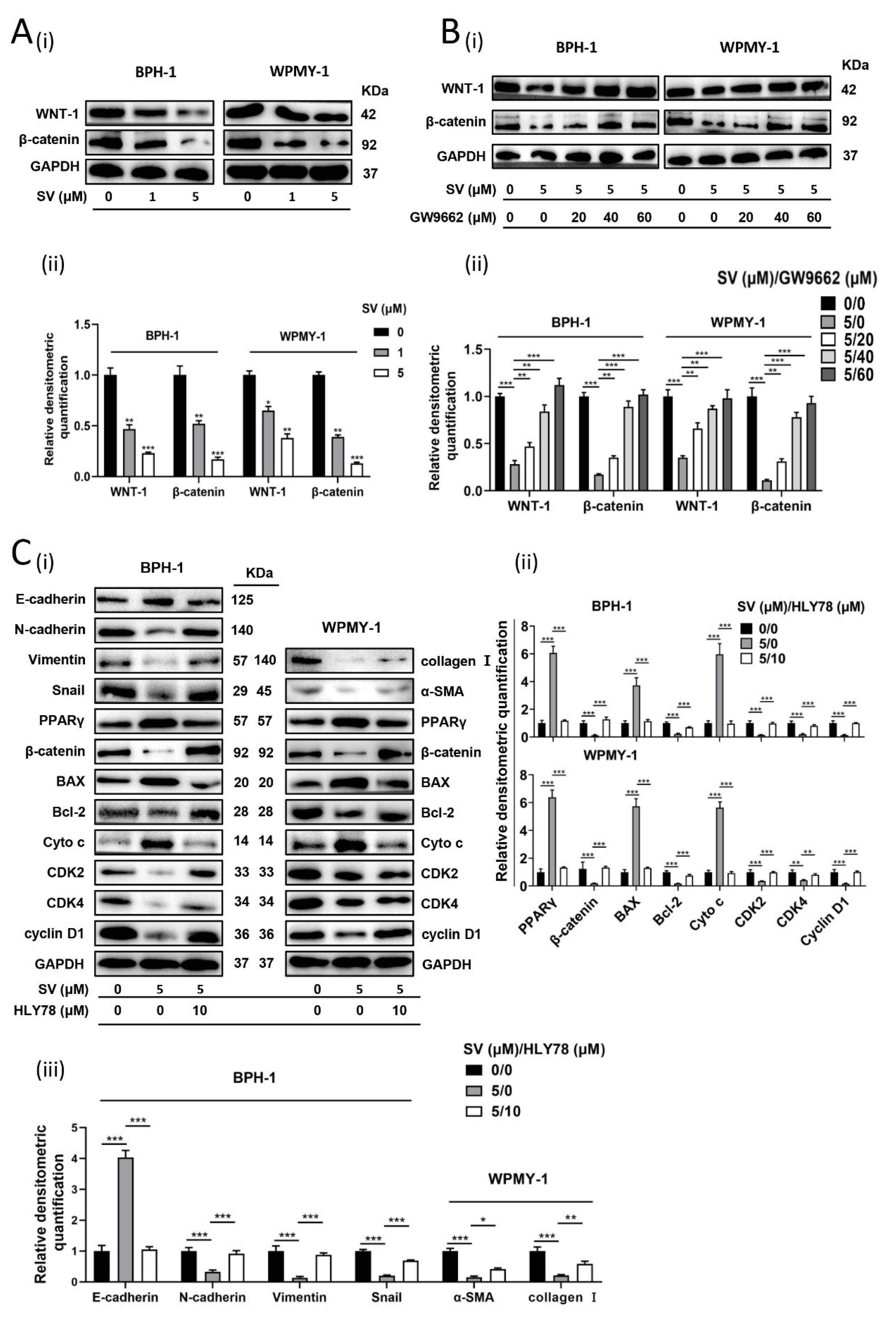 Ijms 24 04911 g005 Ijms 24 04911 g005