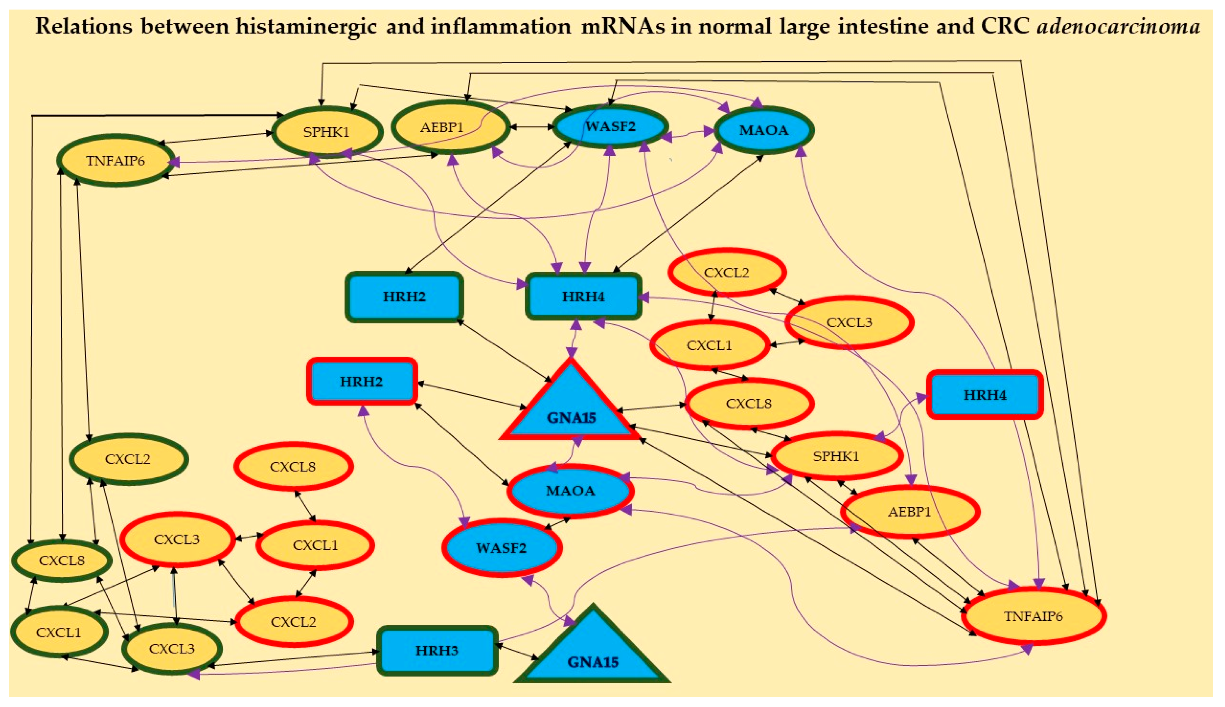 Ijms 24 04913 g002 Ijms 24 04913 g002