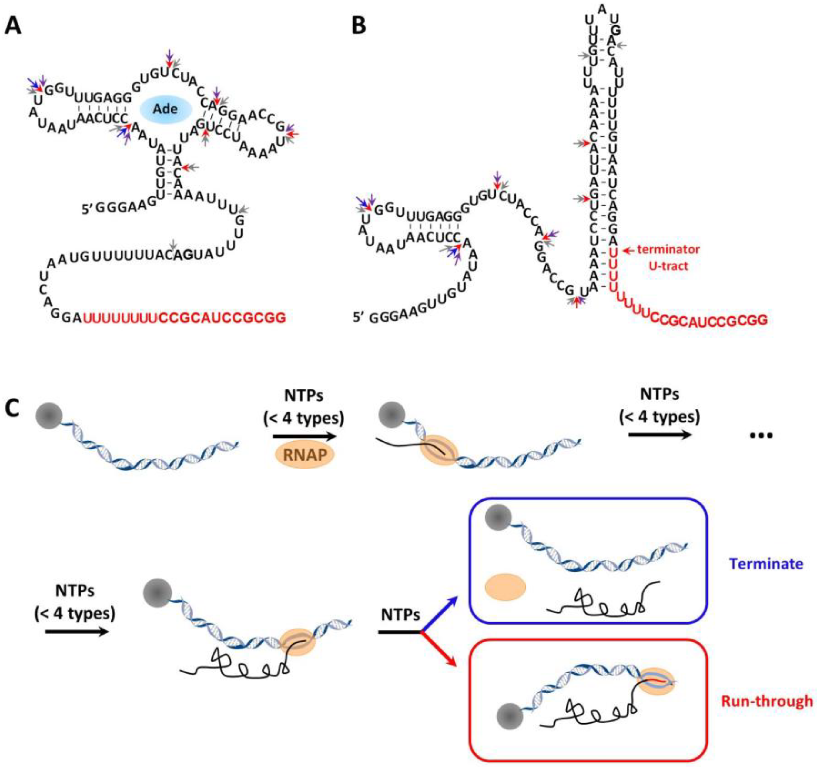 Ijms 24 04934 g001 Ijms 24 04934 g001