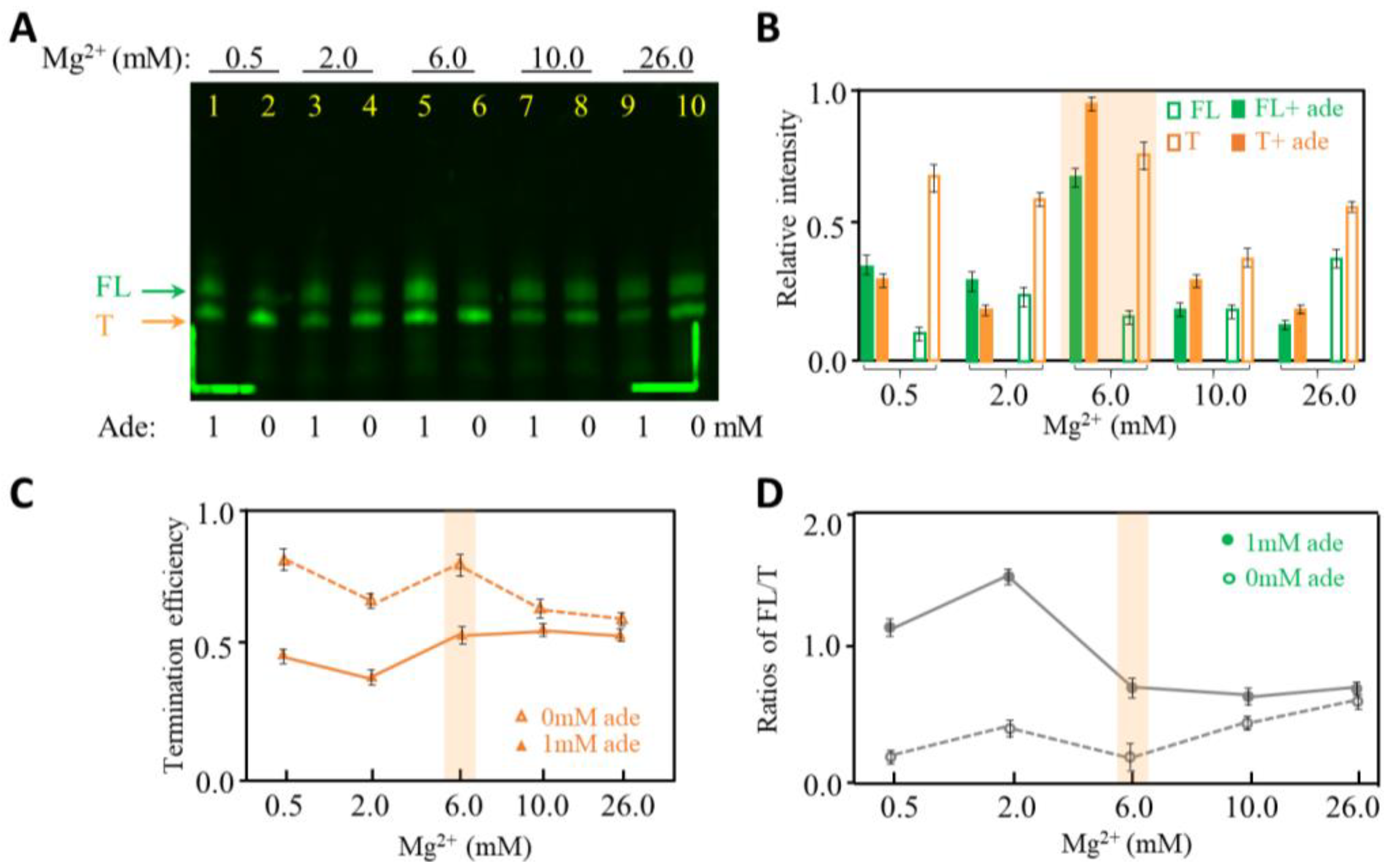 Ijms 24 04934 g004 Ijms 24 04934 g004