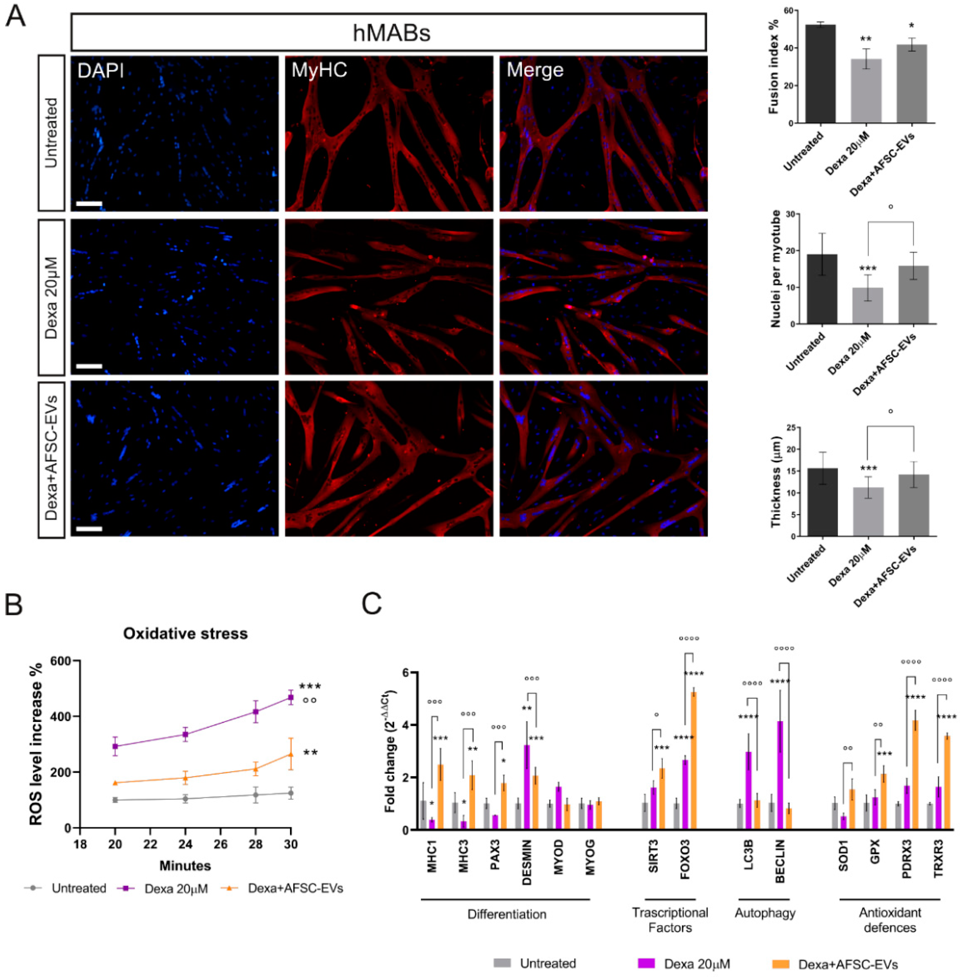 Ijms 24 04944 g001 Ijms 24 04944 g001