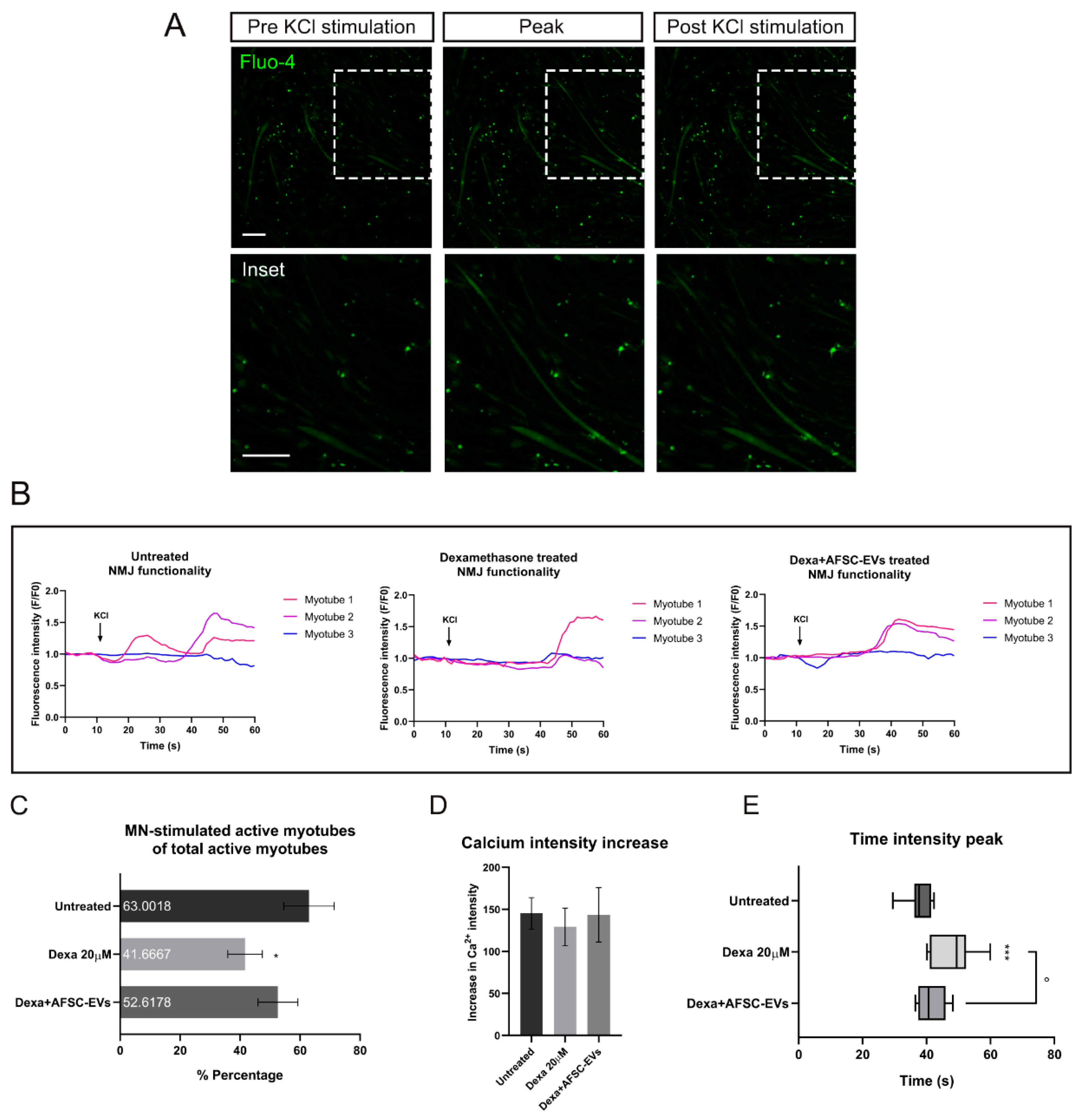 Ijms 24 04944 g005 Ijms 24 04944 g005