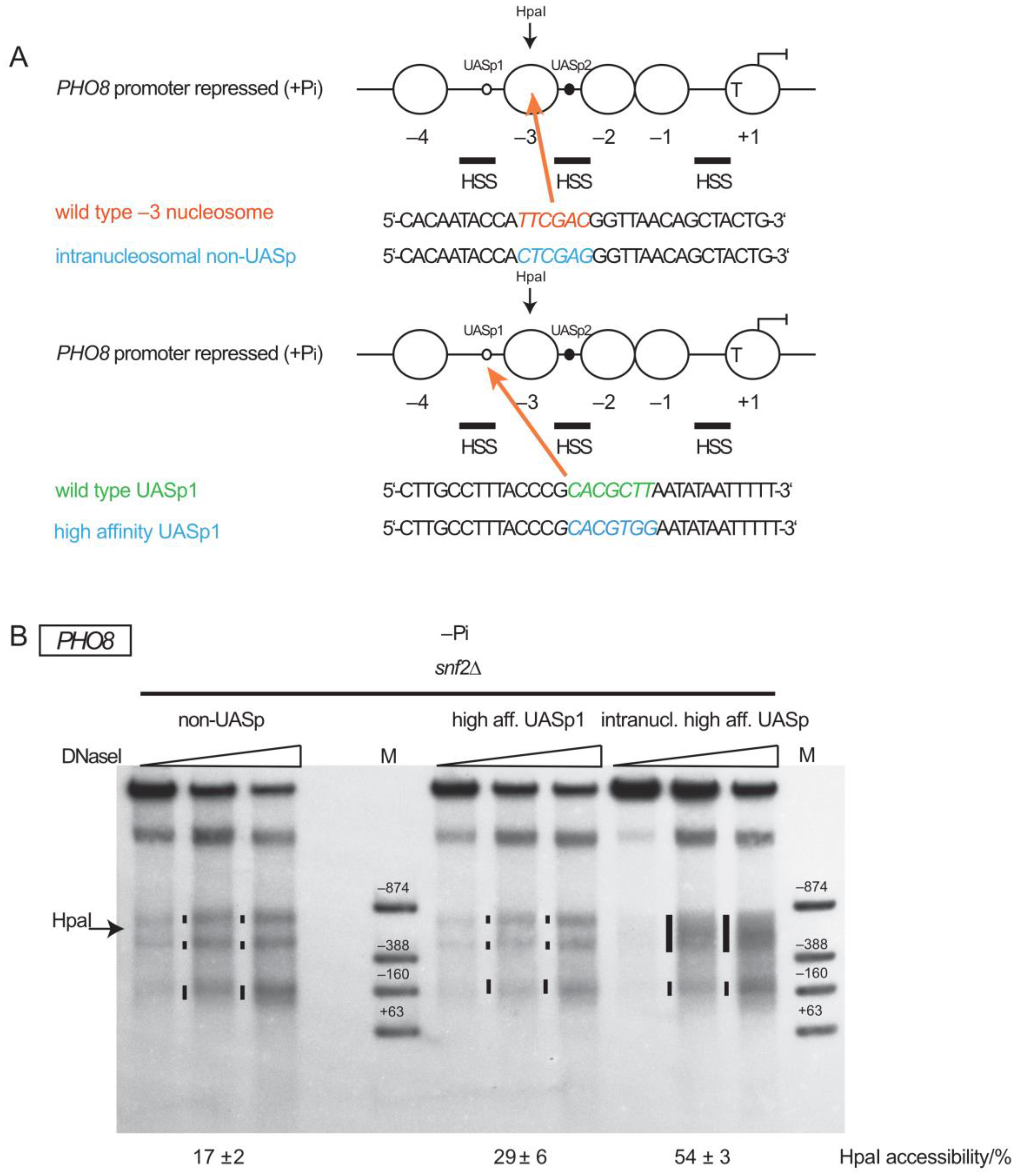 Ijms 24 04949 g002 Ijms 24 04949 g002