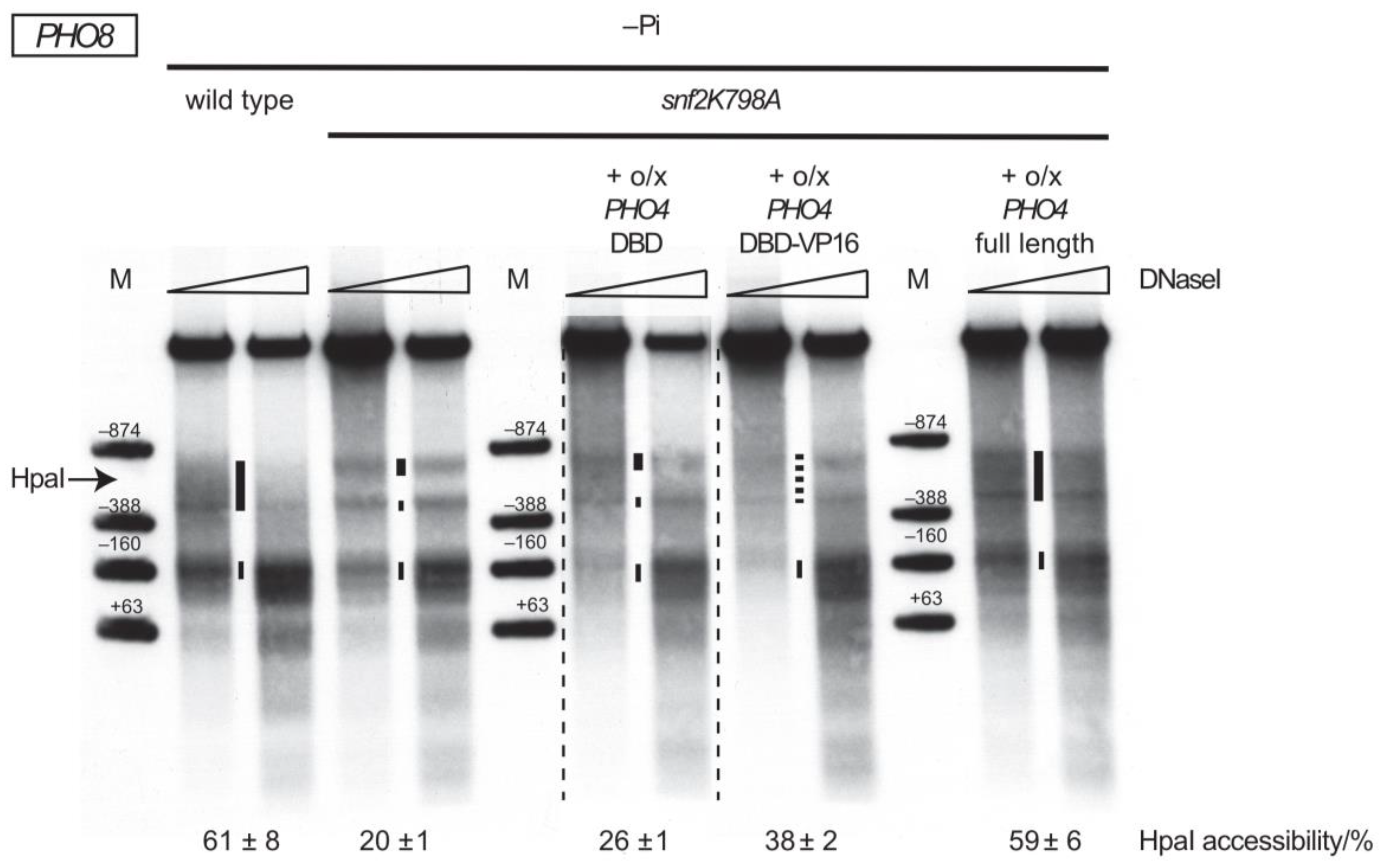 Ijms 24 04949 g004 Ijms 24 04949 g004