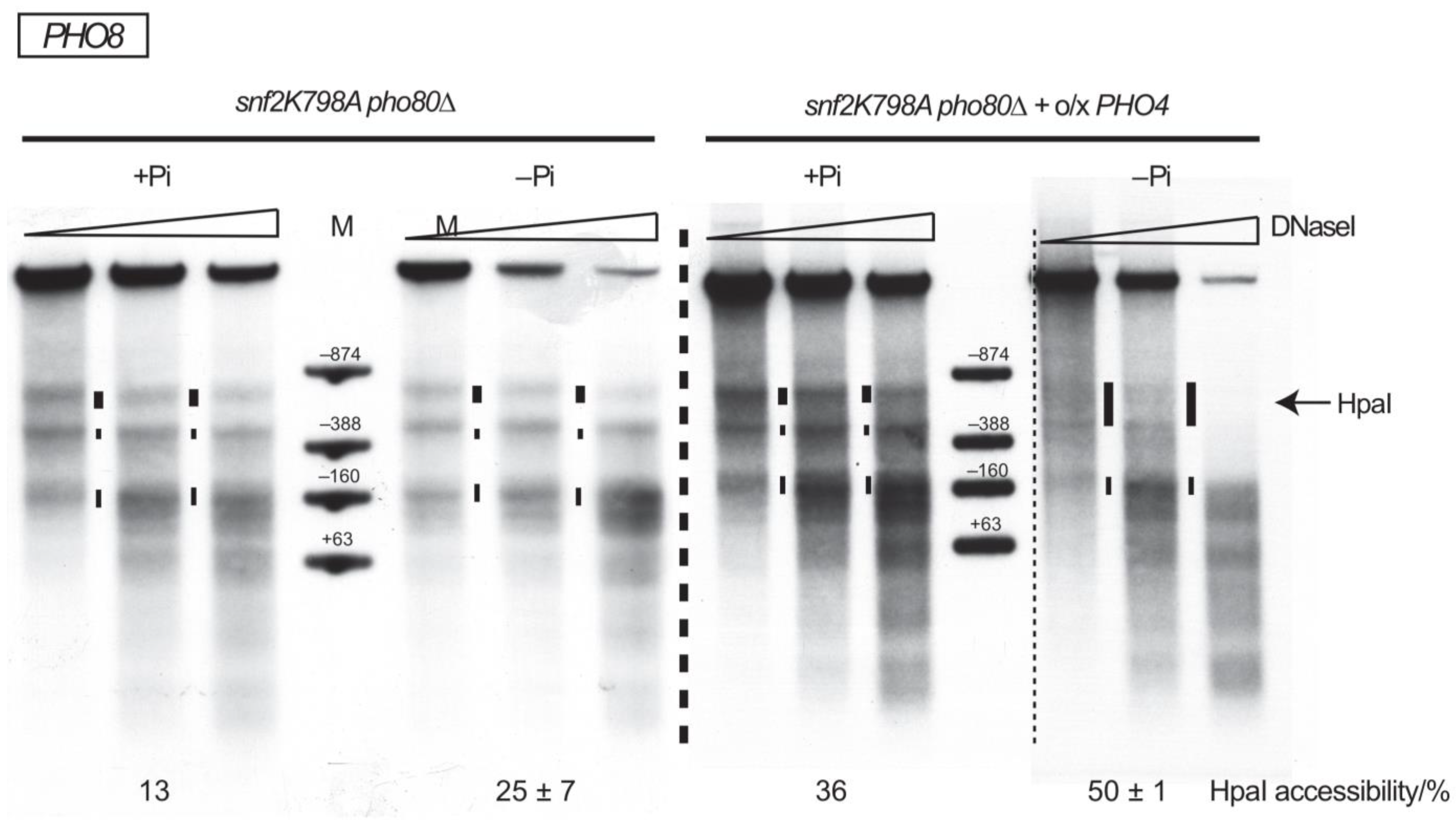 Ijms 24 04949 g005 Ijms 24 04949 g005