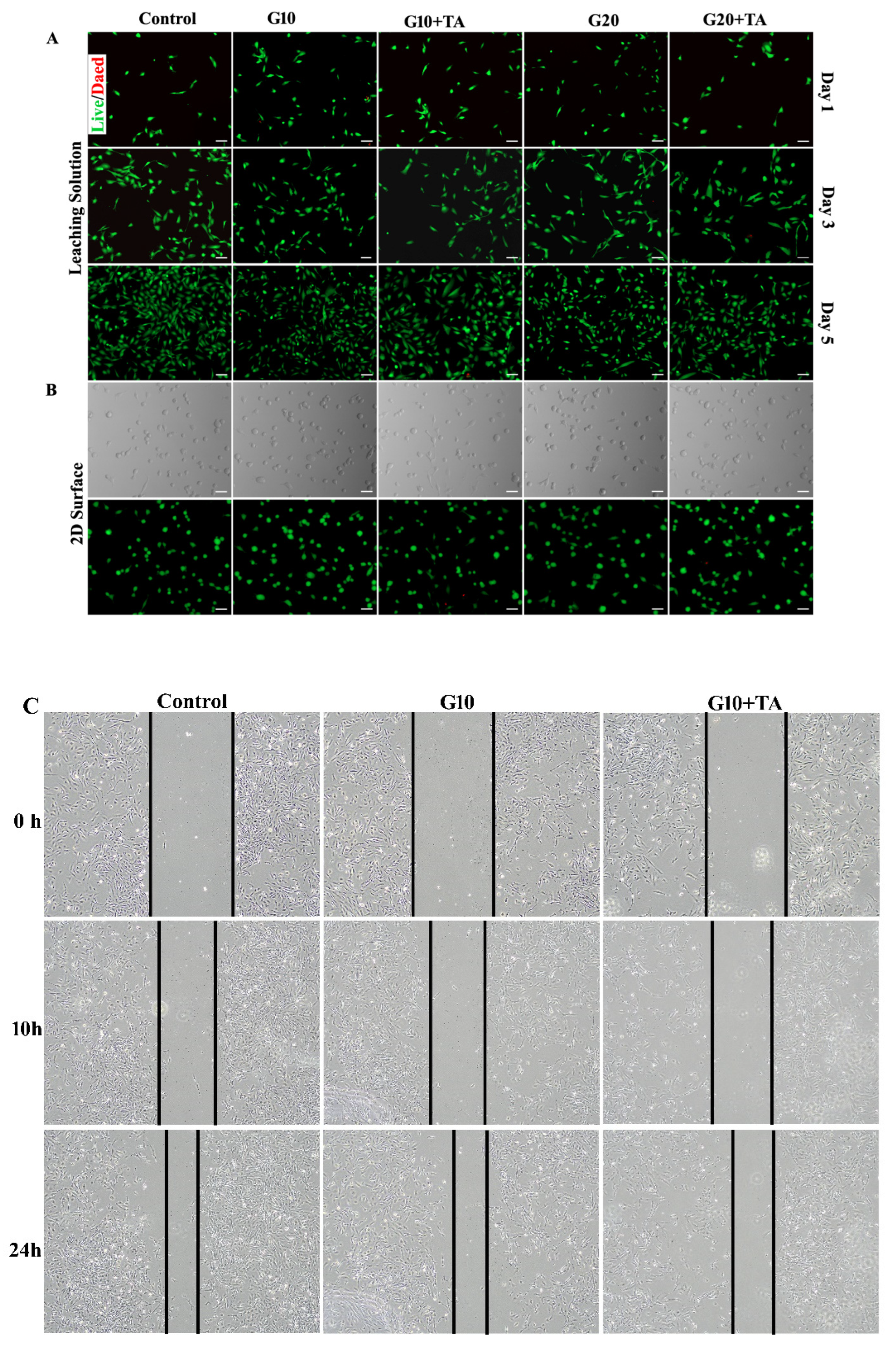 Ijms 24 04957 g004a