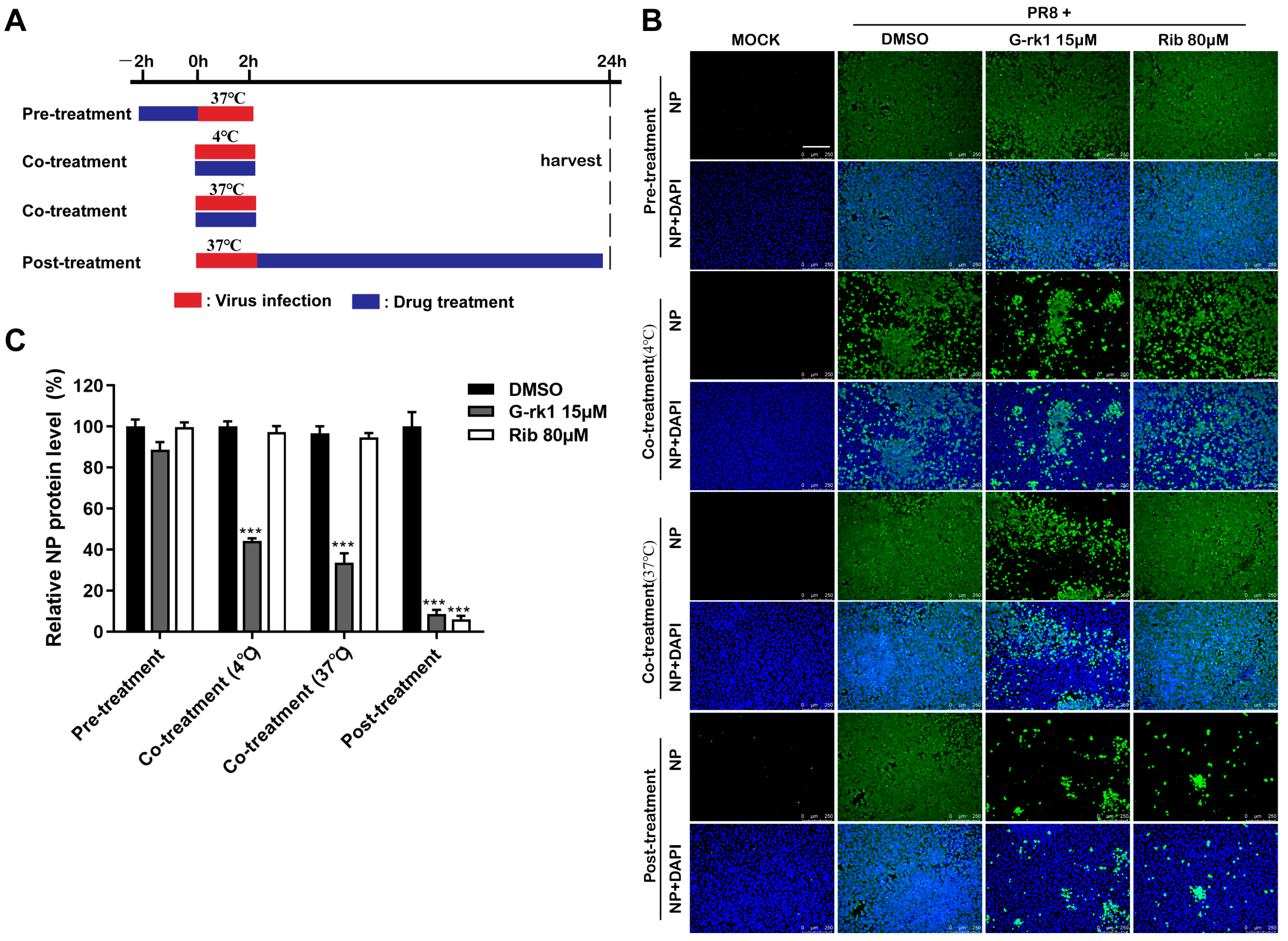 Ijms 24 04967 g003 Ijms 24 04967 g003