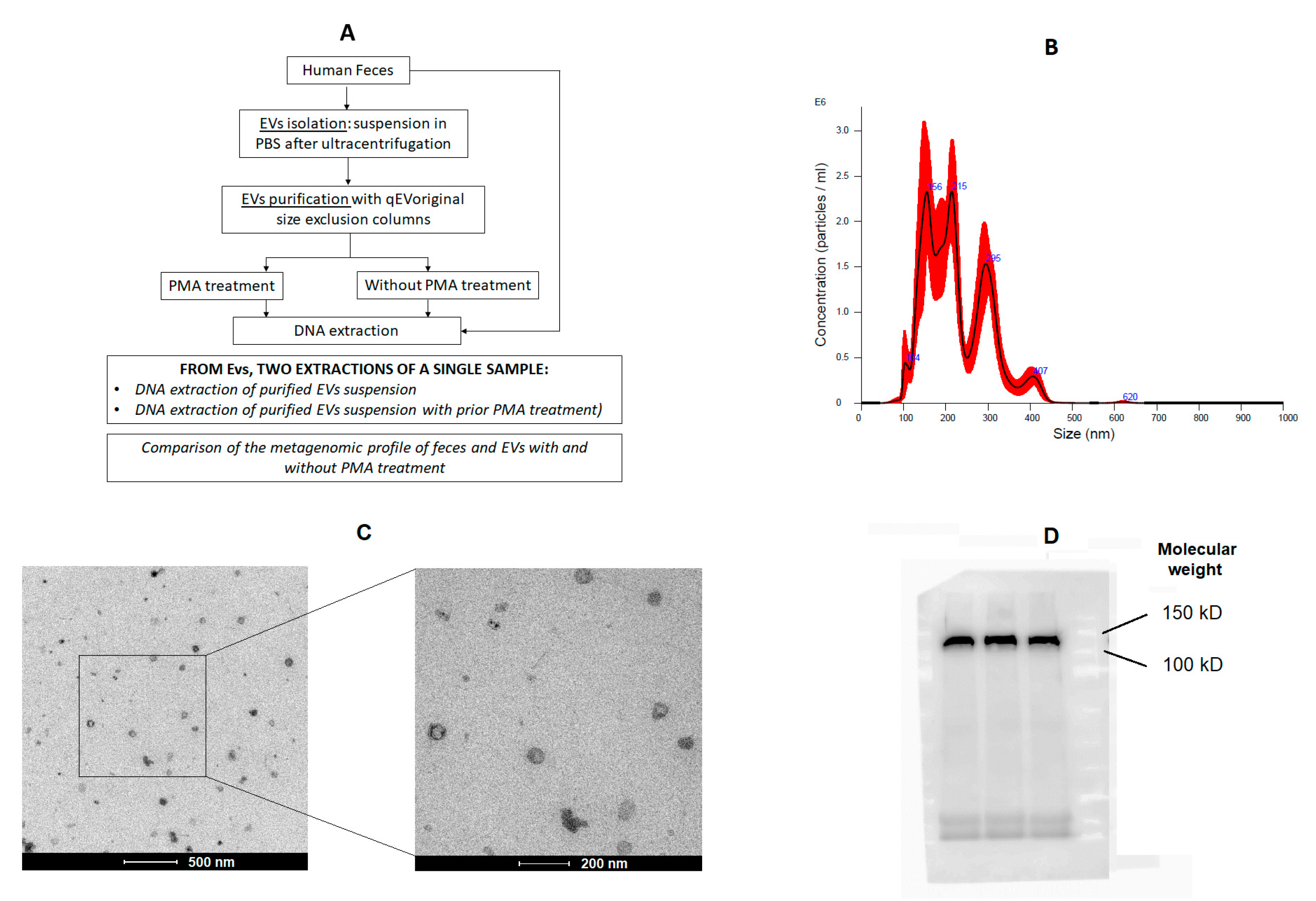 Ijms 24 04971 g001 Ijms 24 04971 g001
