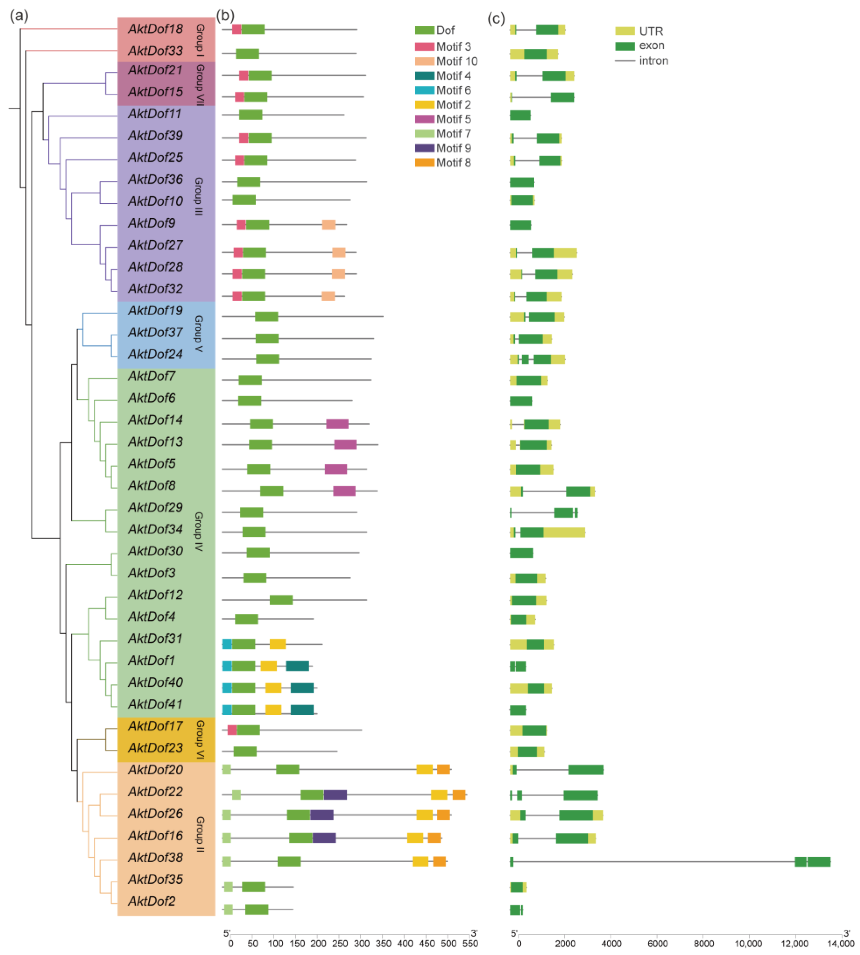 Ijms 24 04973 g002 Ijms 24 04973 g002