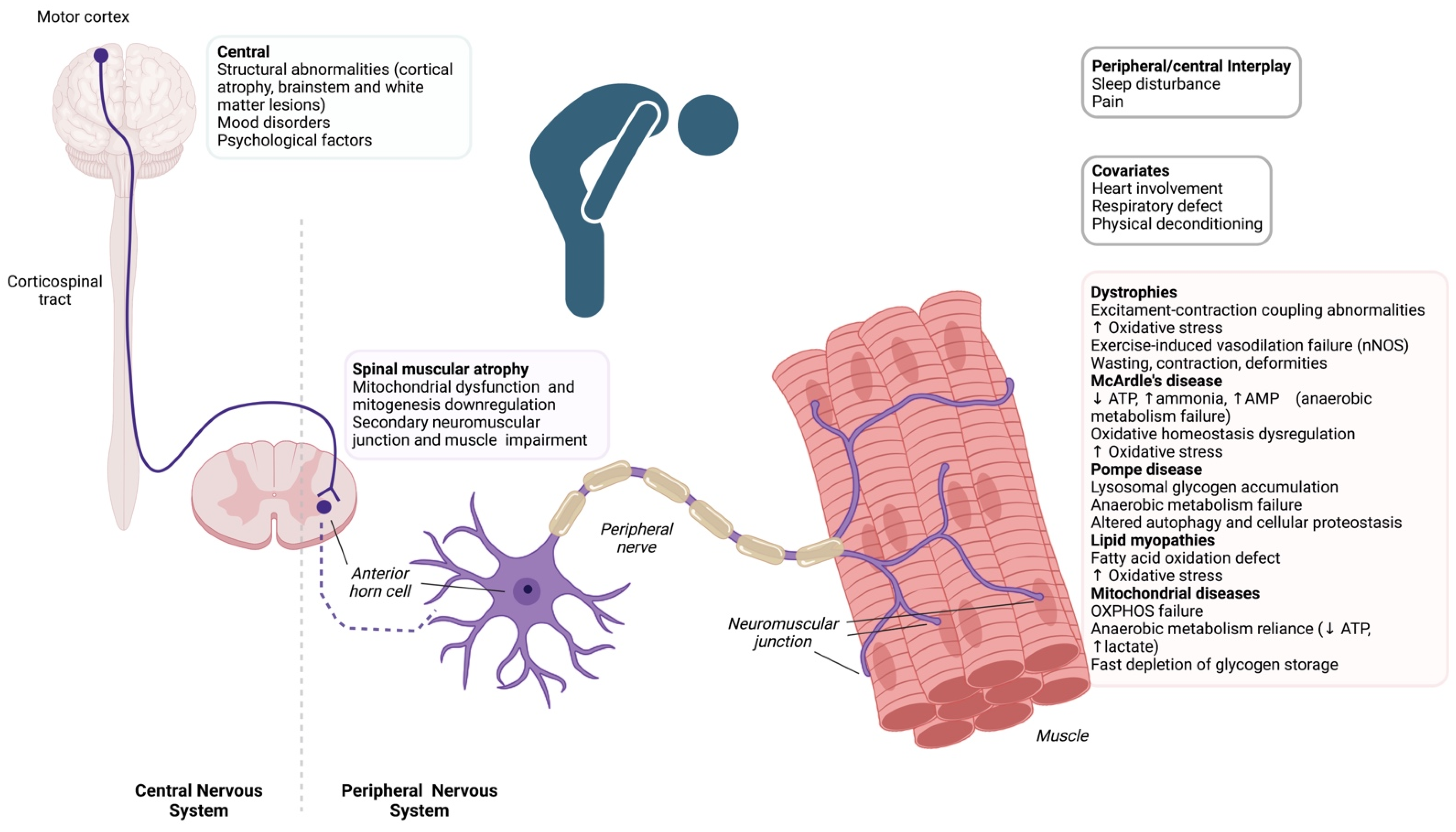 Ijms 24 05005 g001 Ijms 24 05005 g001