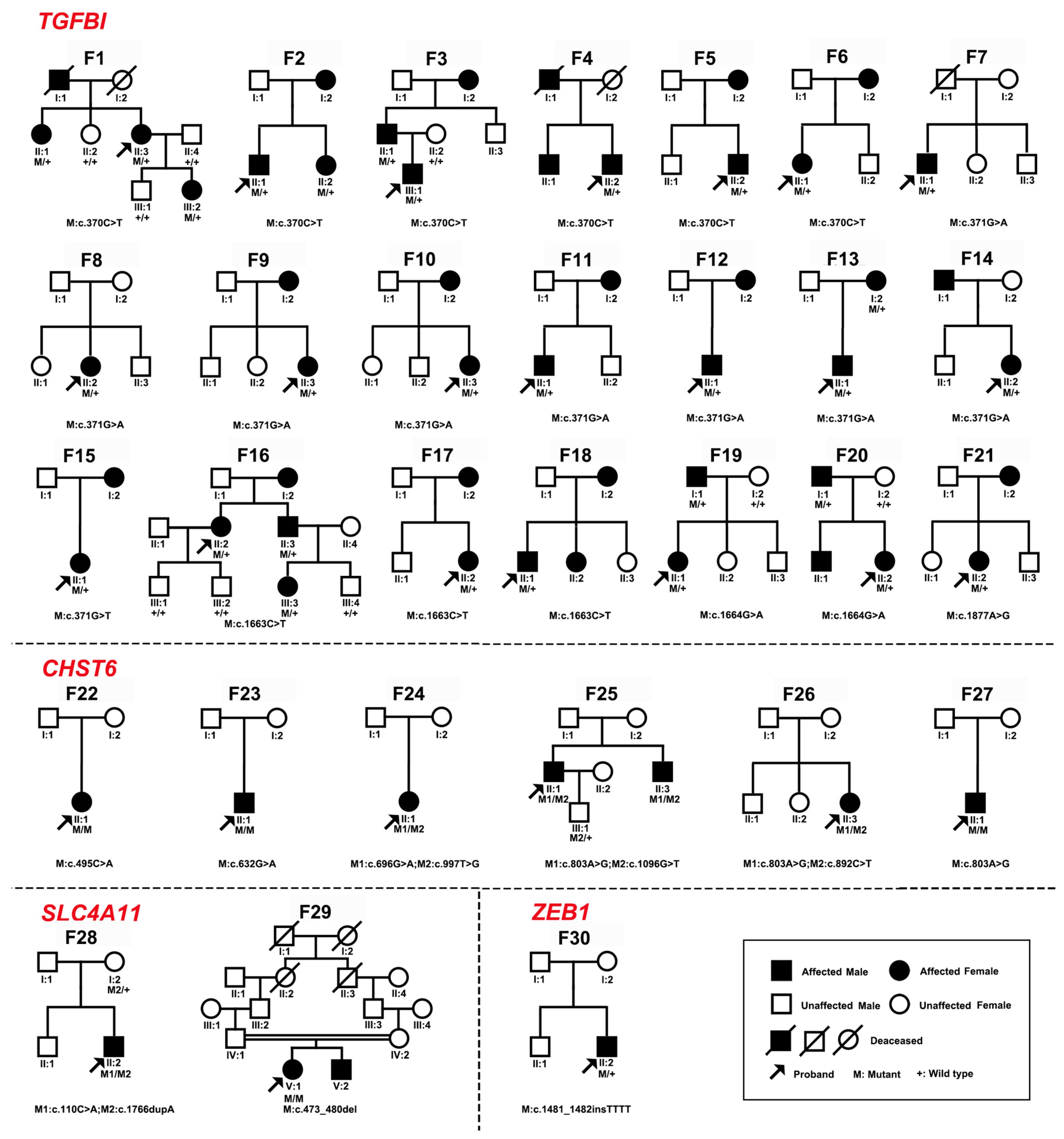 Ijms 24 05012 g001 Ijms 24 05012 g001