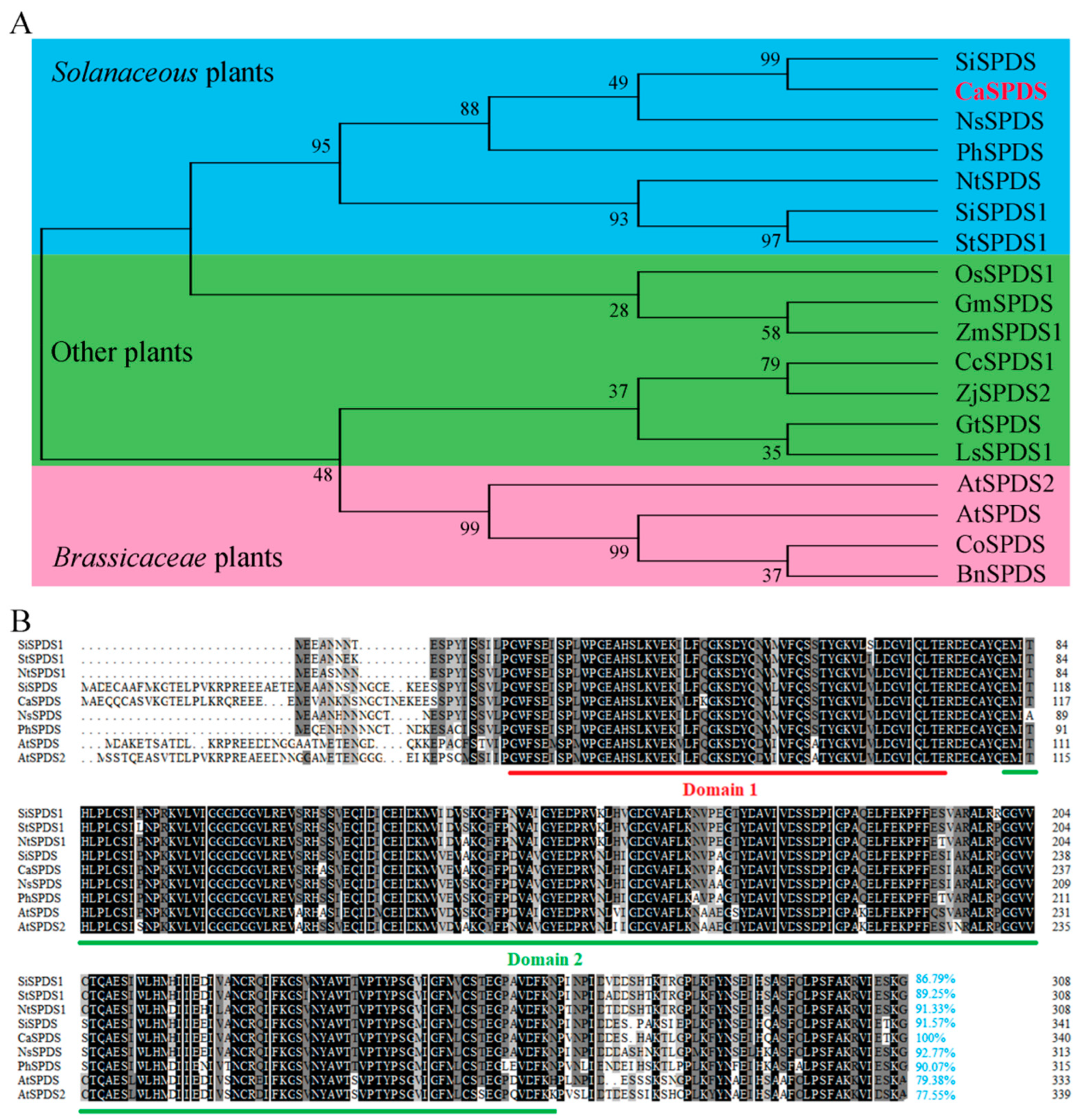 Ijms 24 05013 g002 Ijms 24 05013 g002