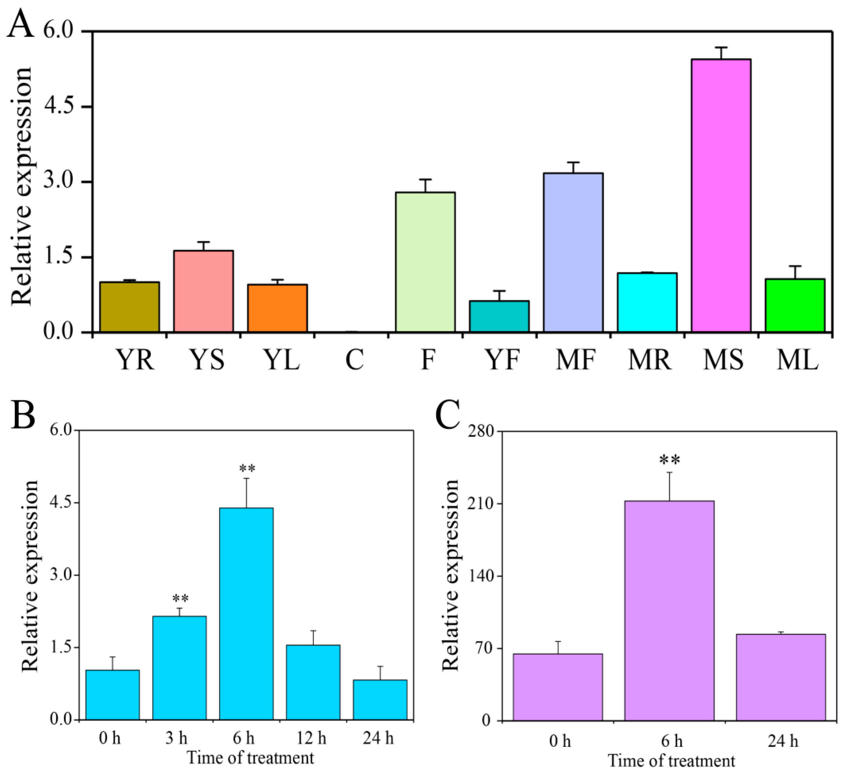 Ijms 24 05013 g003 Ijms 24 05013 g003