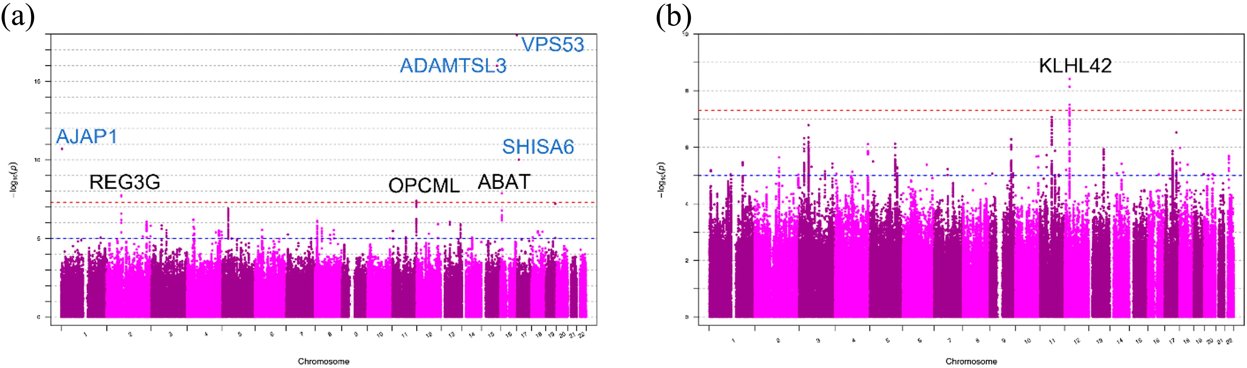 Ijms 24 05019 g001 Ijms 24 05019 g001