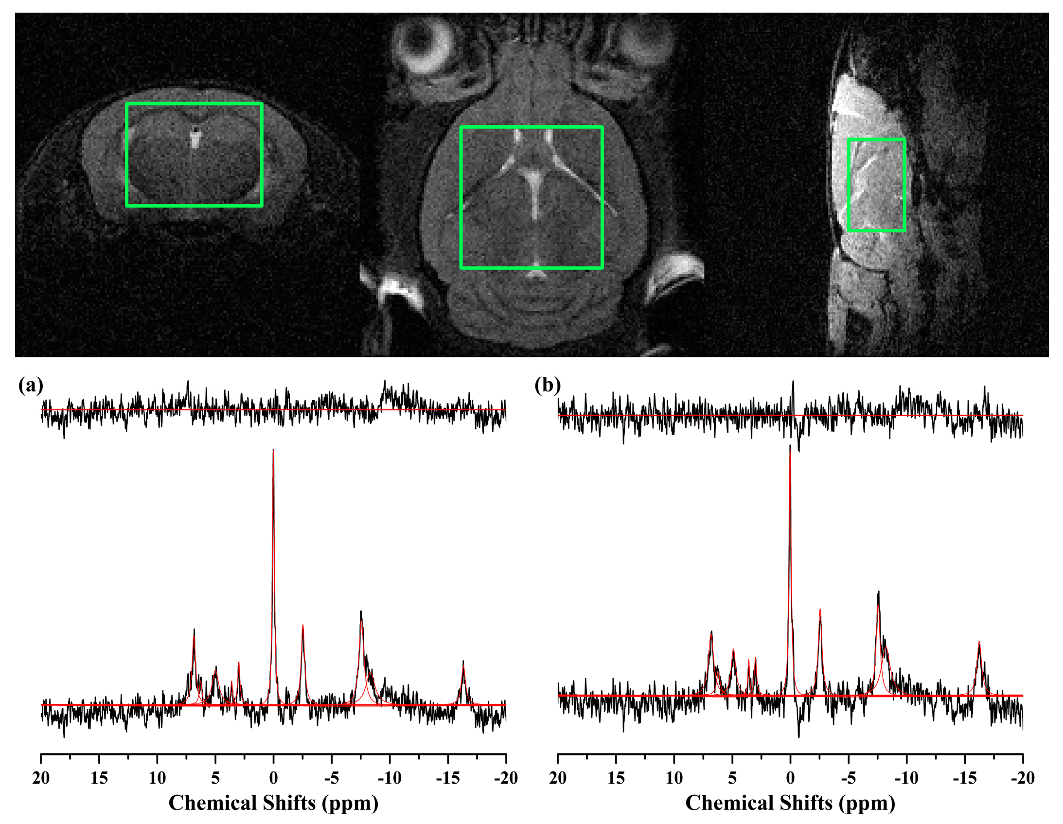 Ijms 24 05073 g004 Ijms 24 05073 g004