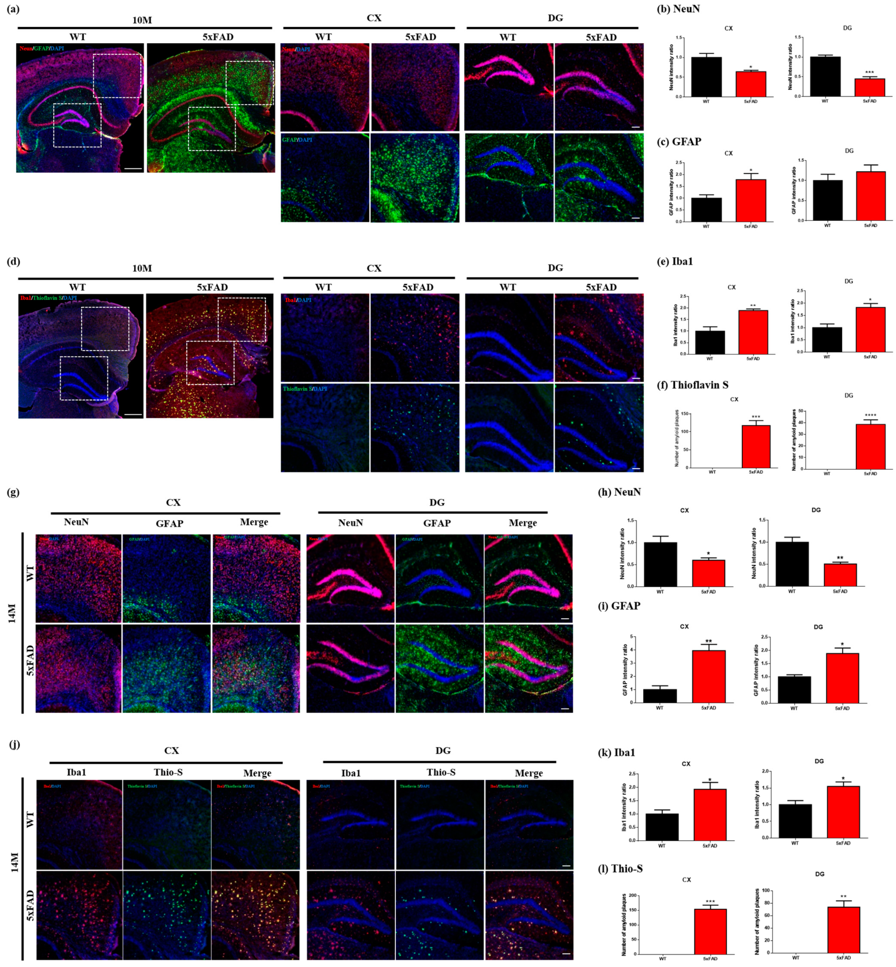 Ijms 24 05073 g005 Ijms 24 05073 g005
