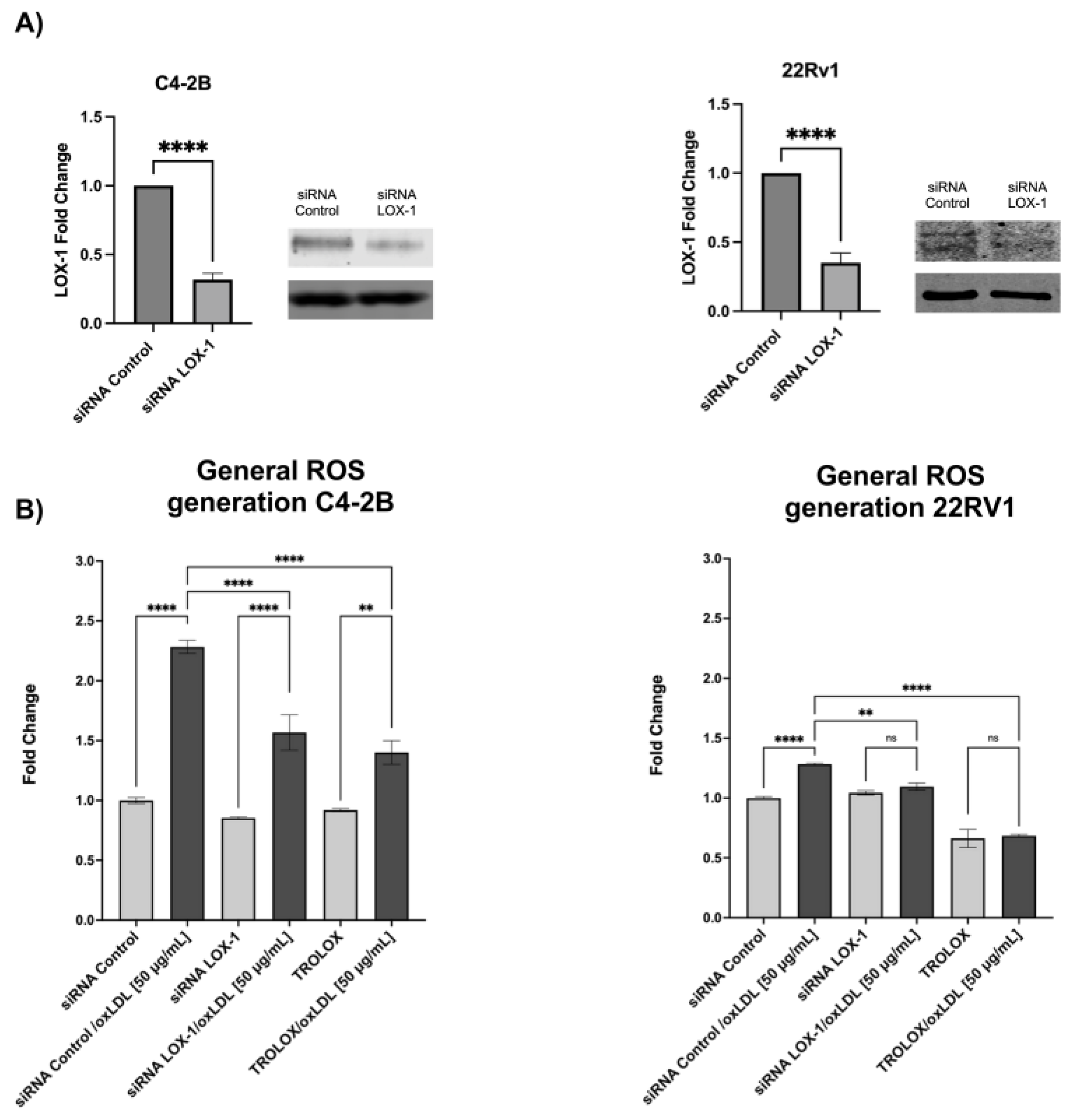 Ijms 24 05082 g001 Ijms 24 05082 g001
