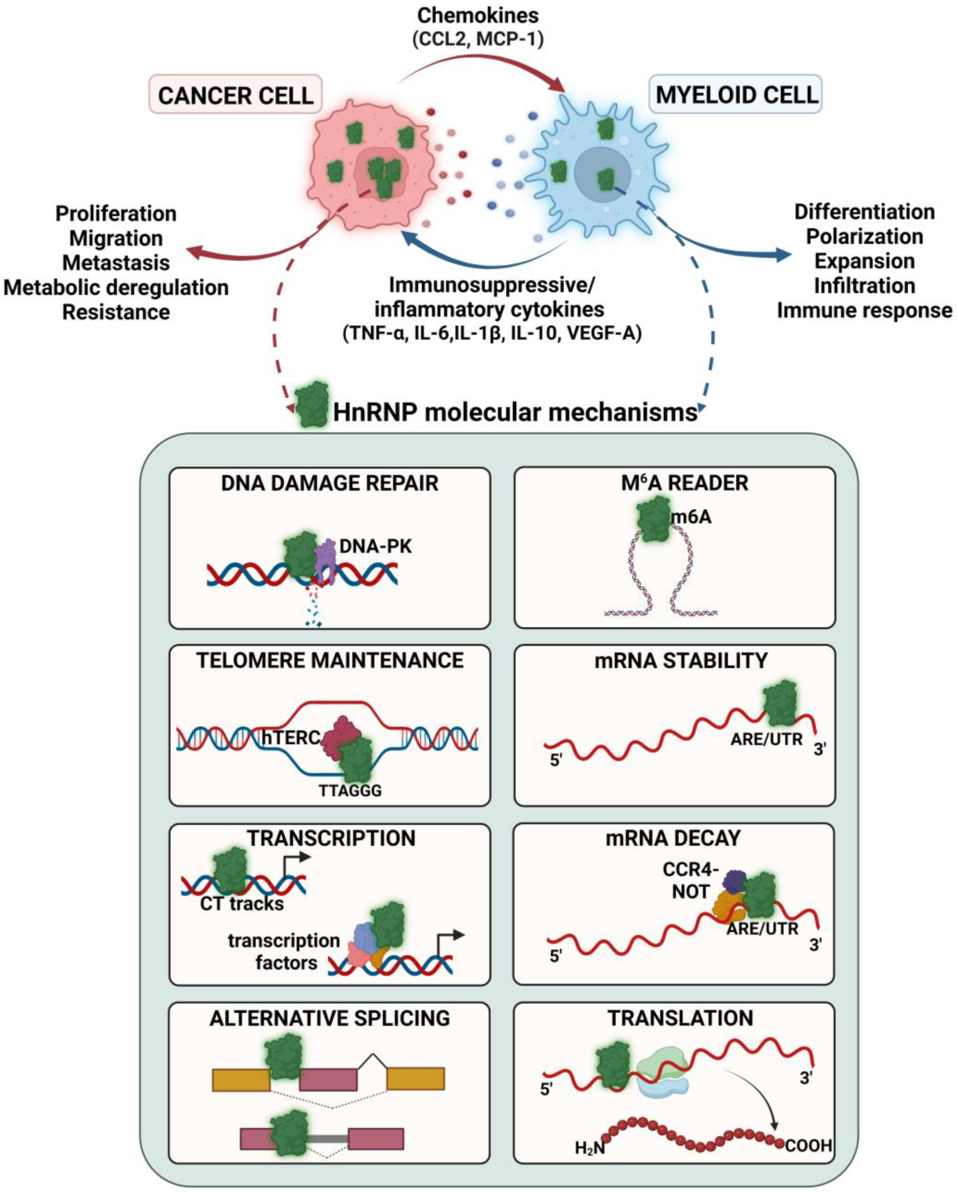 Ijms 24 05086 g003 Ijms 24 05086 g003