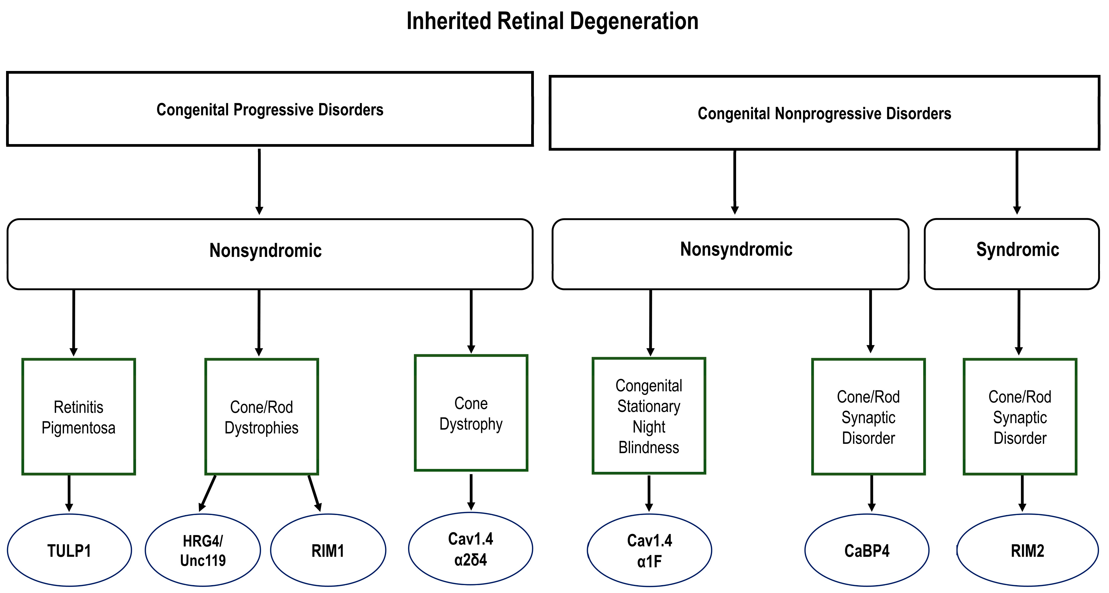 Ijms 24 05090 g001 Ijms 24 05090 g001